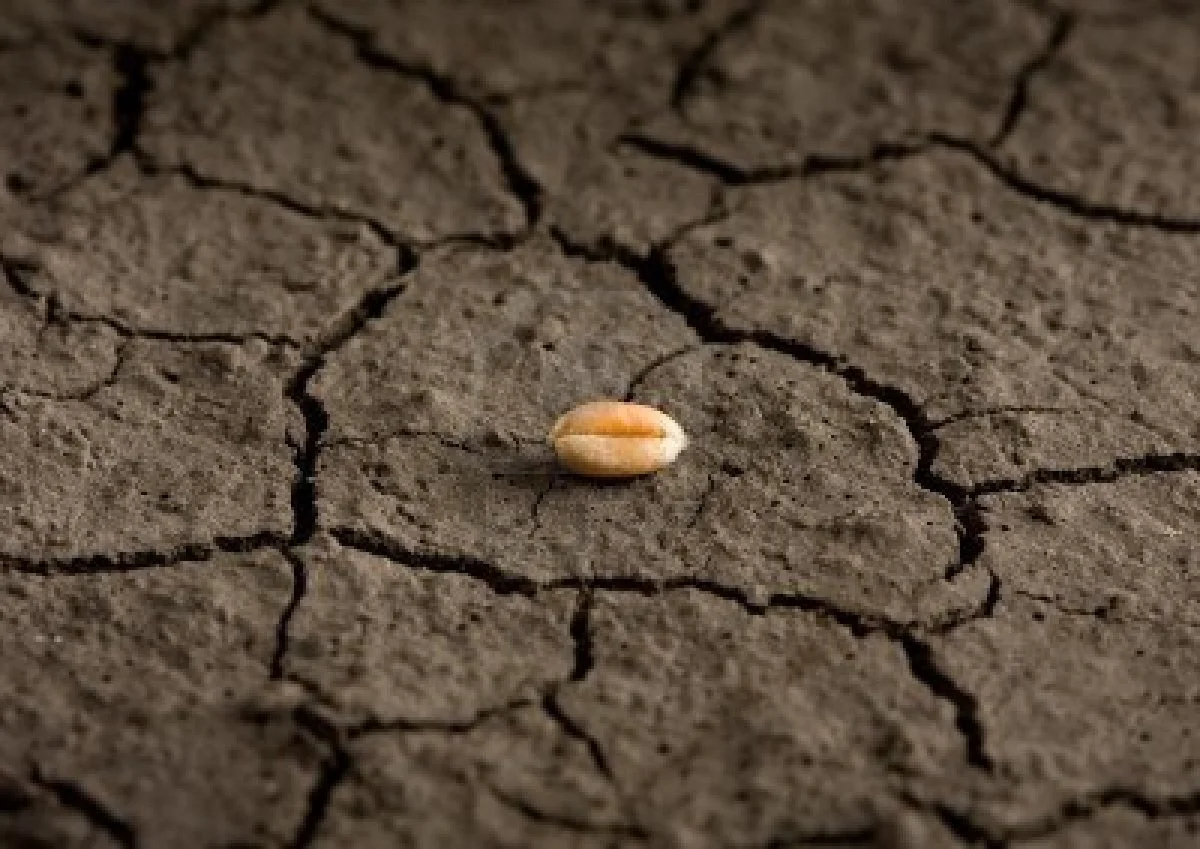 Broken Heart: The Seeds of Justice 