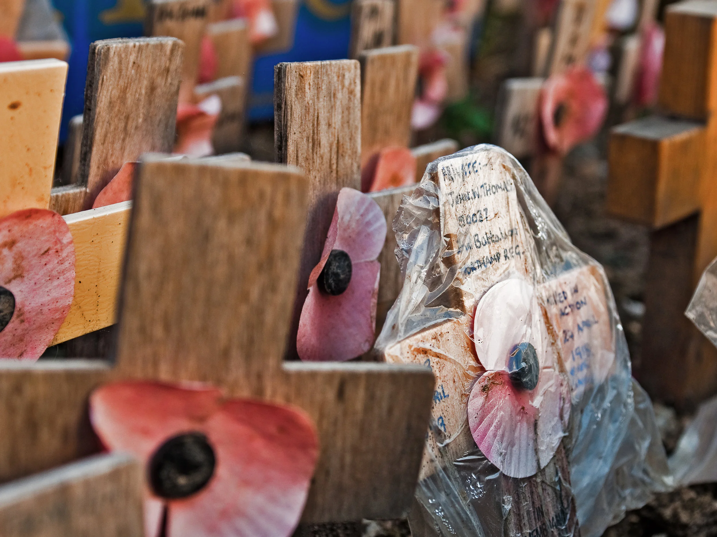 Erinnerung an die Toten des ersten Weltkriegs in Falmouth, England