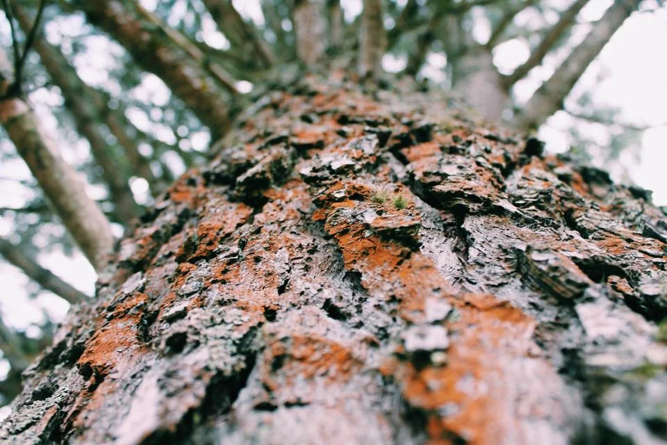 Taralga | Australia 
