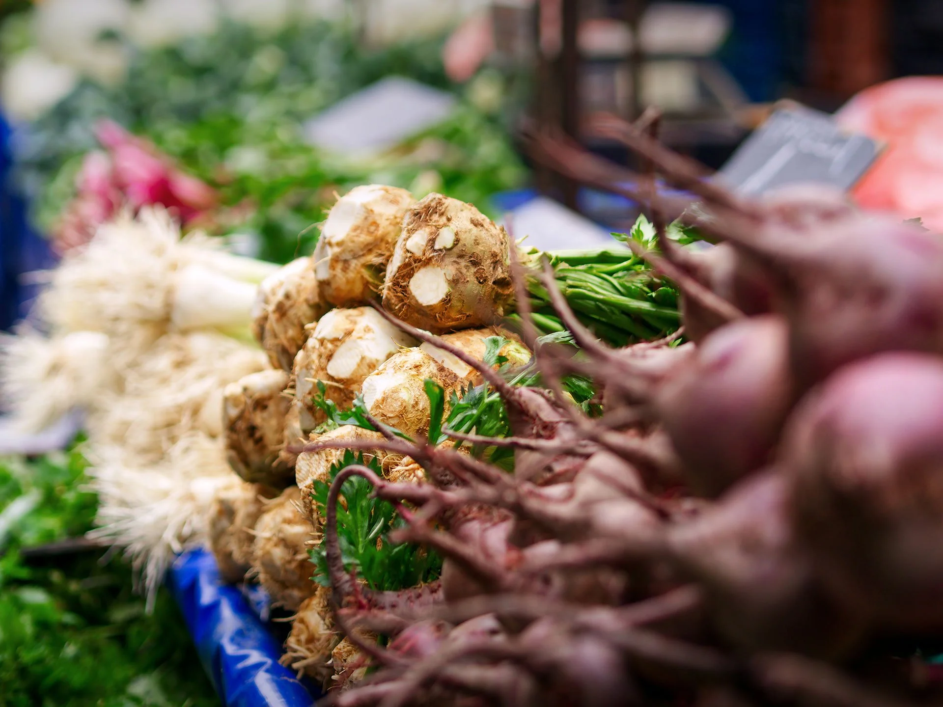 2025 Year-End Review