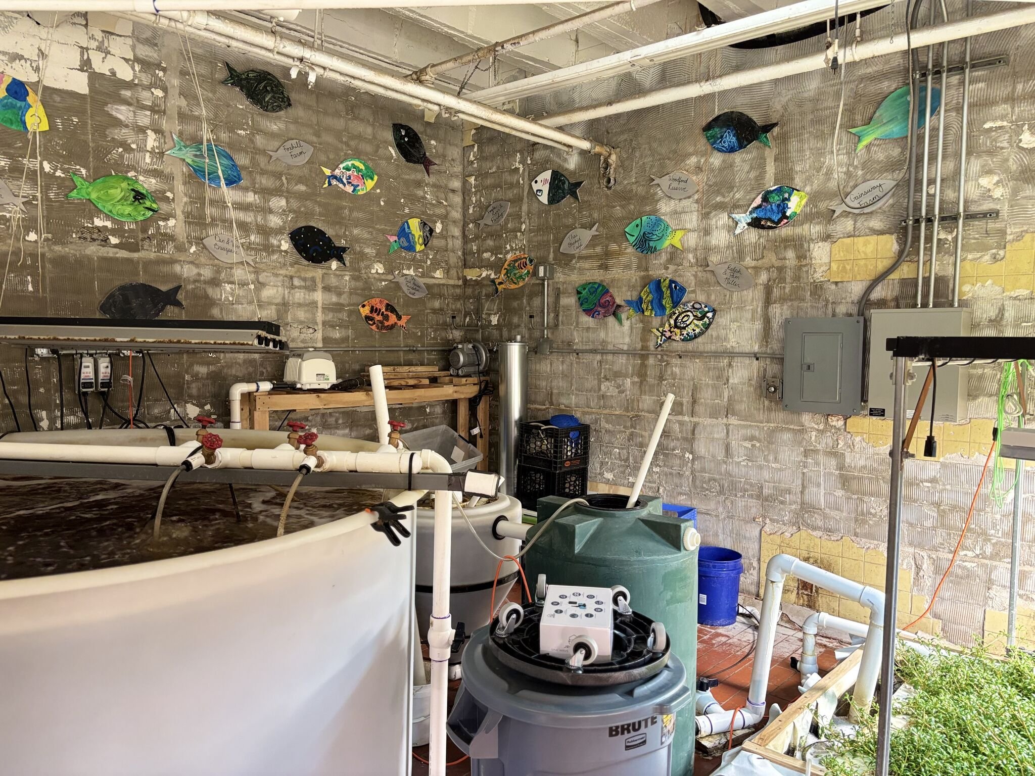 FoodChain’s indoor aquaponics farm.&nbsp;