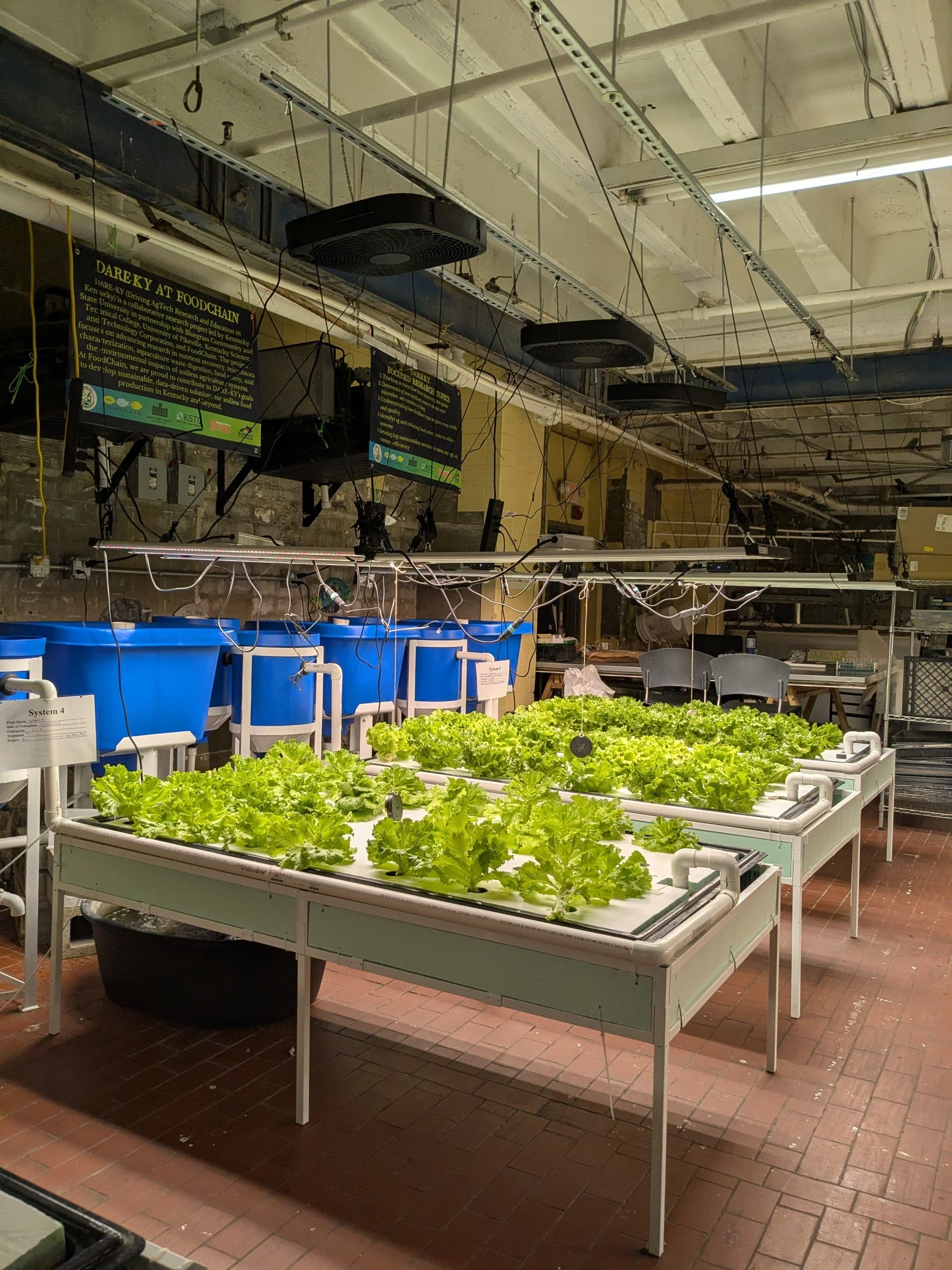 FoodChain’s indoor aquaponics farm.&nbsp;