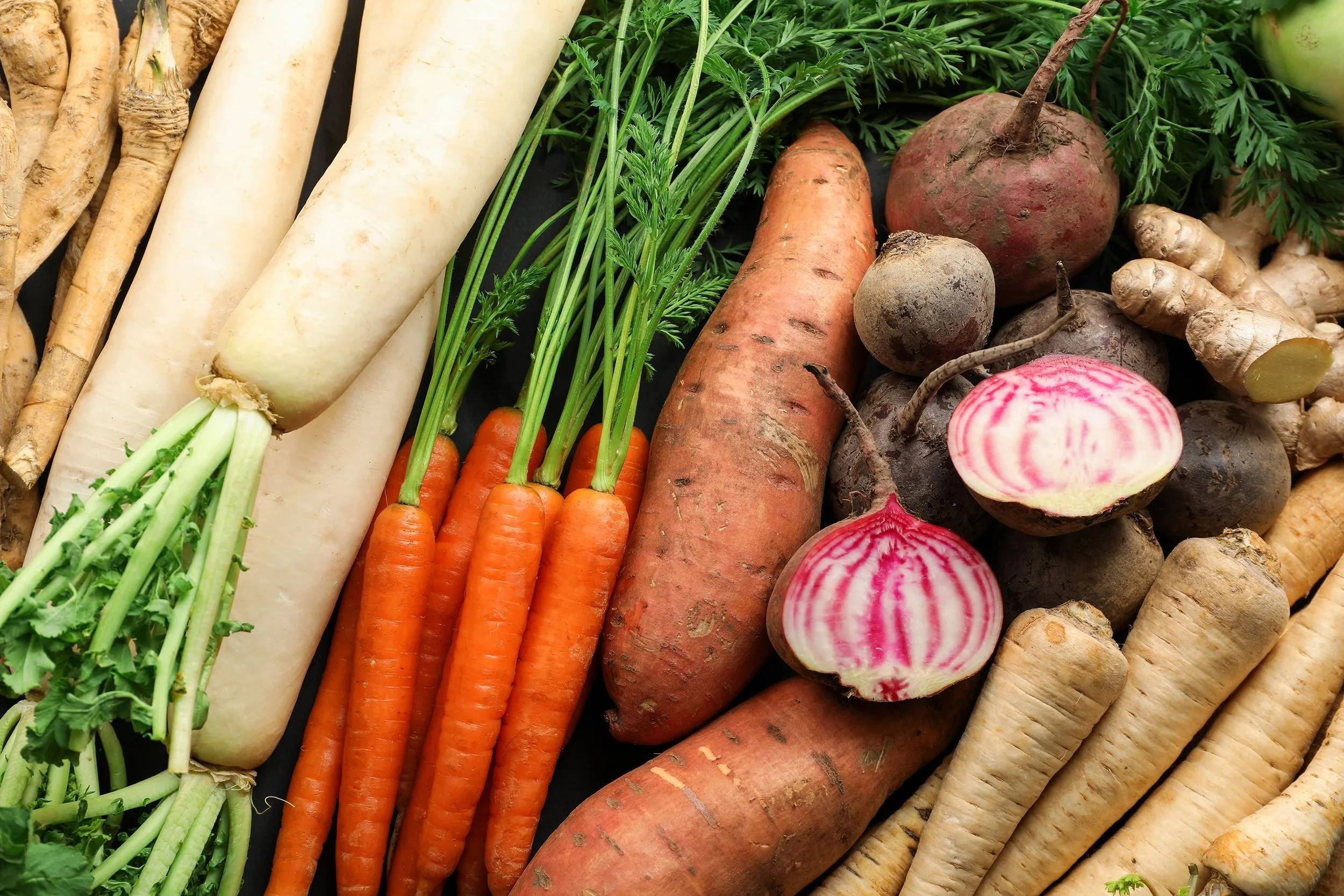 Fall 2026 Nutrition Notes