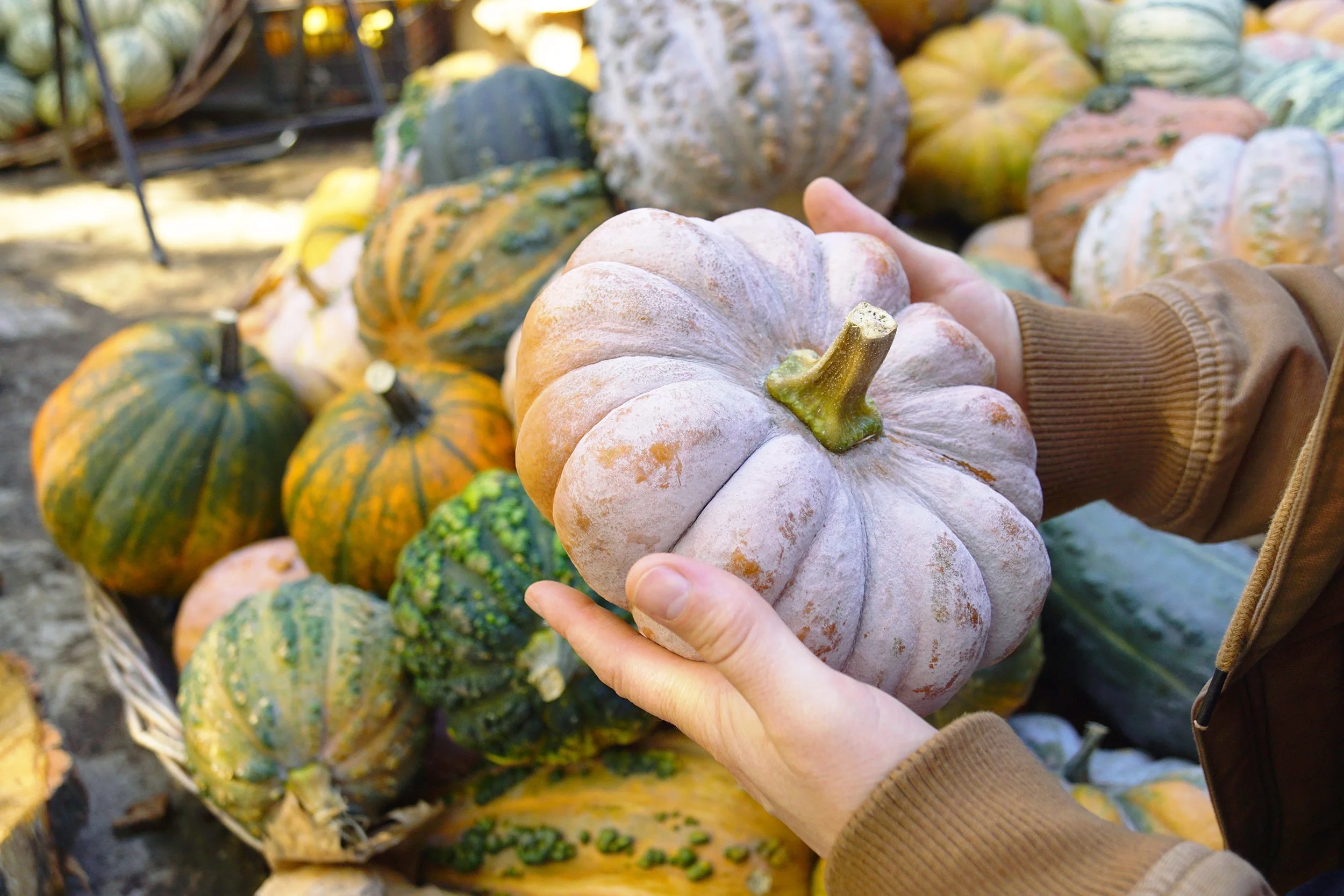 The Evidence Ripens —What Produce Prescriptions have Taught Us About Diabetes Care