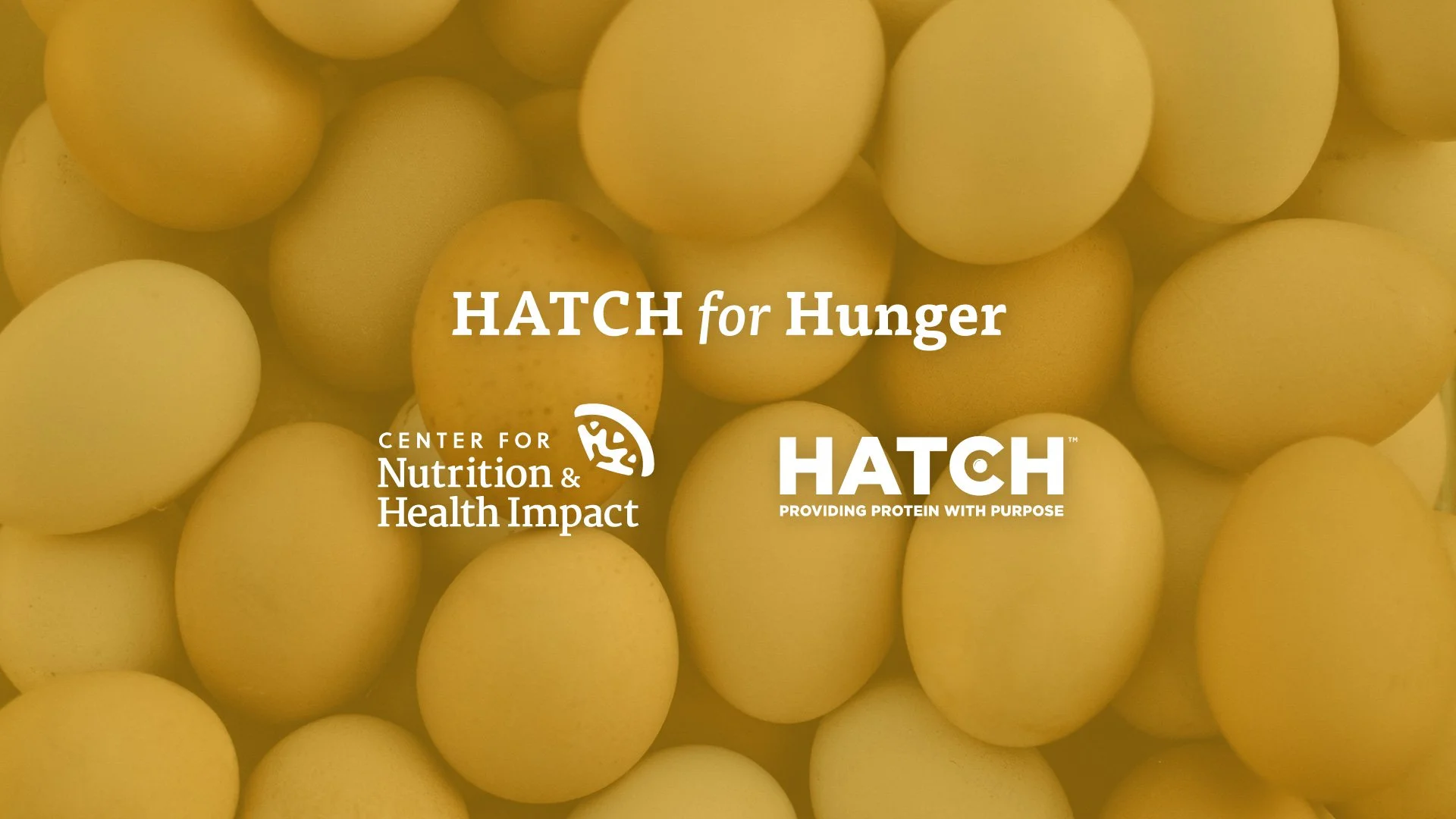  A partnership with HATCH for Hunger to examine how HATCH’s protein procurement and distribution model supports food banks and families experiencing food insecurity. 