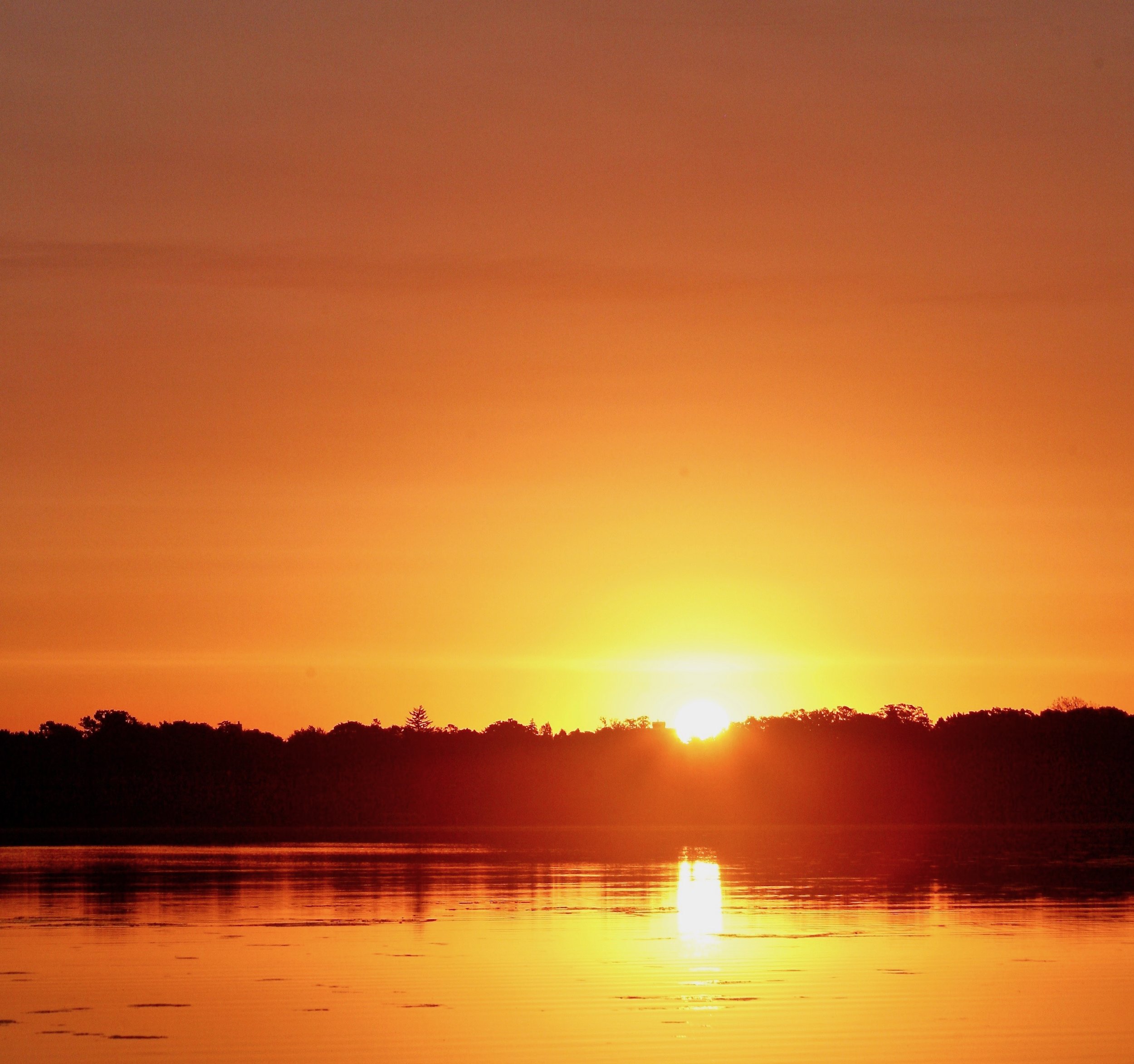 Grad journey-web banner.jpg