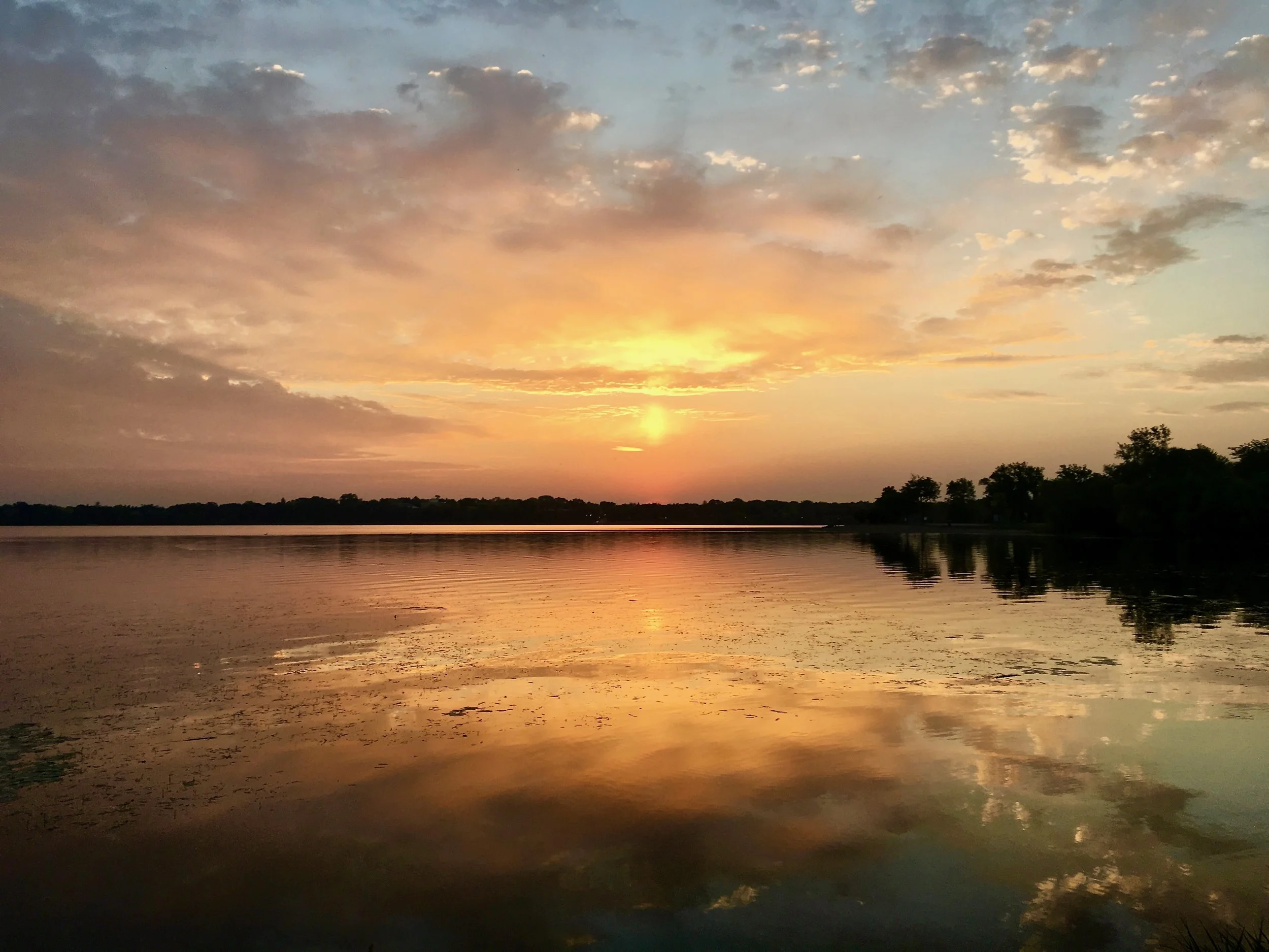 AoC-Virtual-banner3-no type.jpg