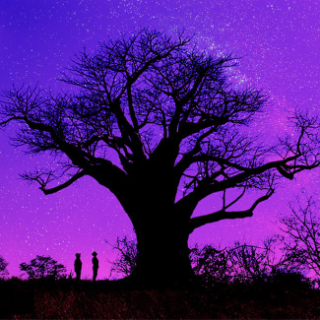 6a00d83452204f69e201b7c954829e970b-320wi.png