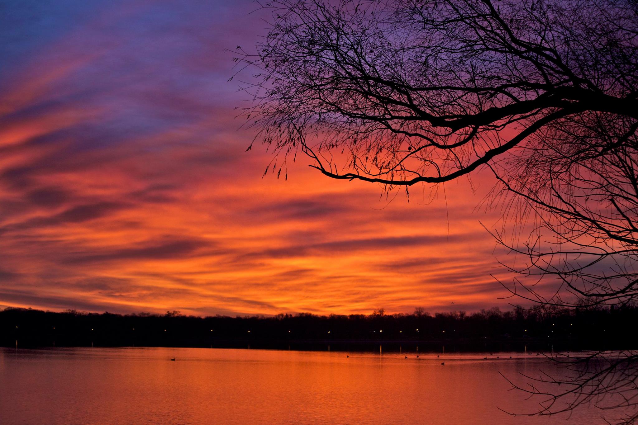Photo Credit: Craig Neal