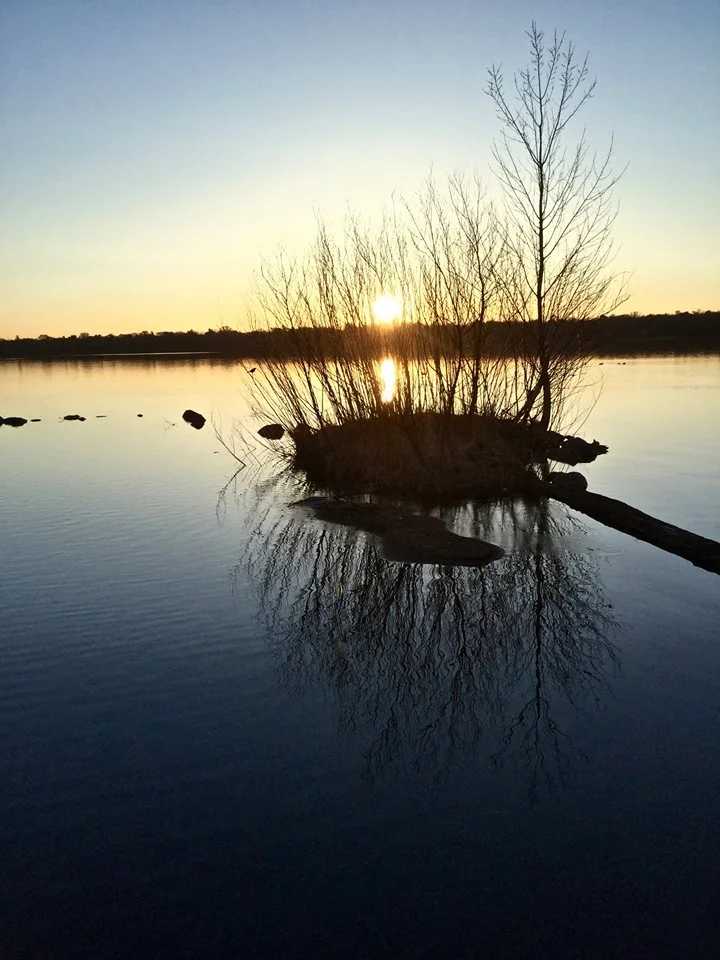 Photo Credit: Craig Neal