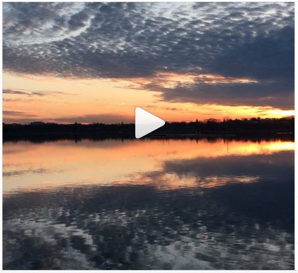 Purpose Shared: at the Lake