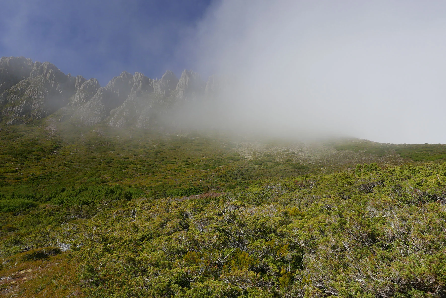 Clouds covering the Cradle Mountain Summit path