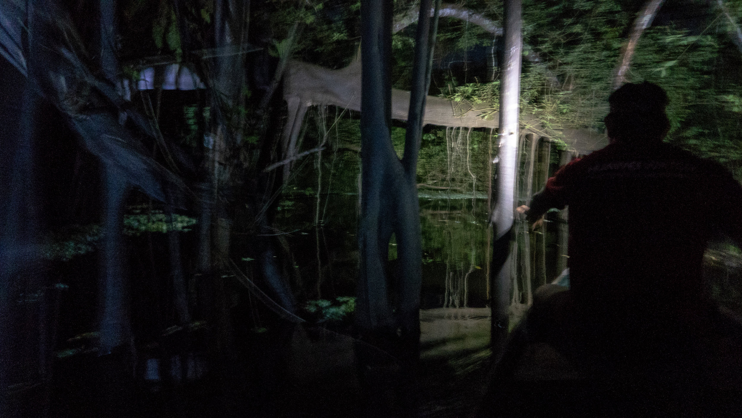 Magical night-time canoing among the rainforest