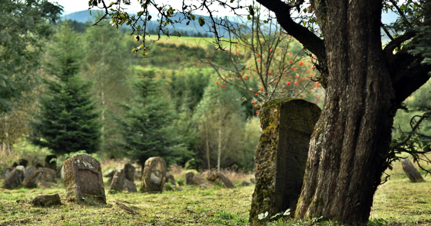 10 Everyday Spells to do this Fall