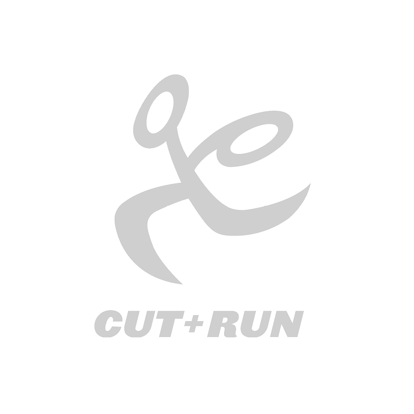 Nine_Dot_Design_Cut_and_Run_Logo.png