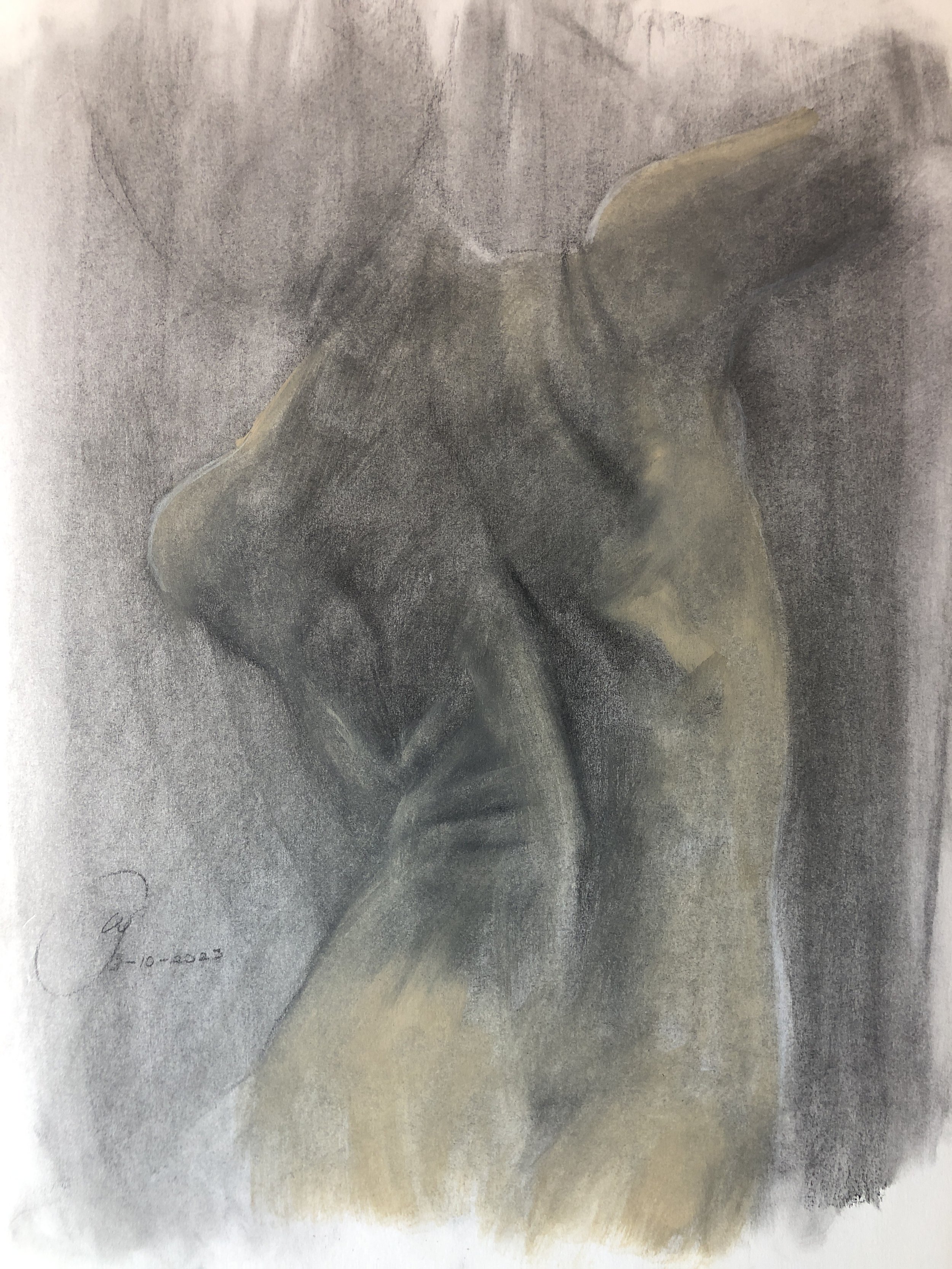 Back Study, 2022, charcoal and oil on paper, 17 x 14 in.