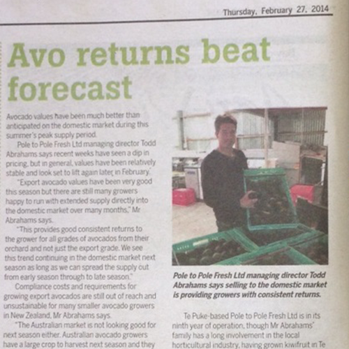 Avo-returns-beat-forecast