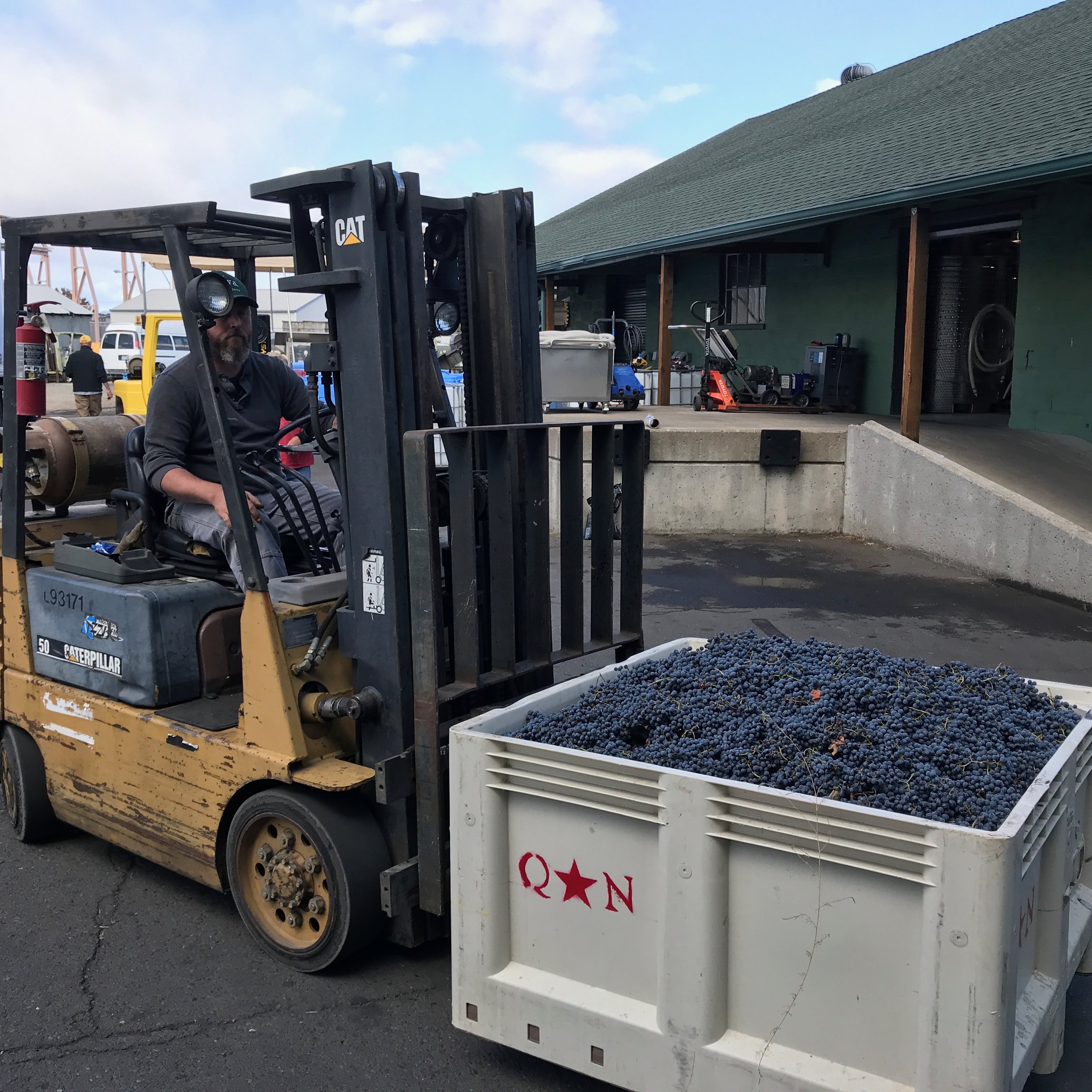 Photo of Herb driving forklift