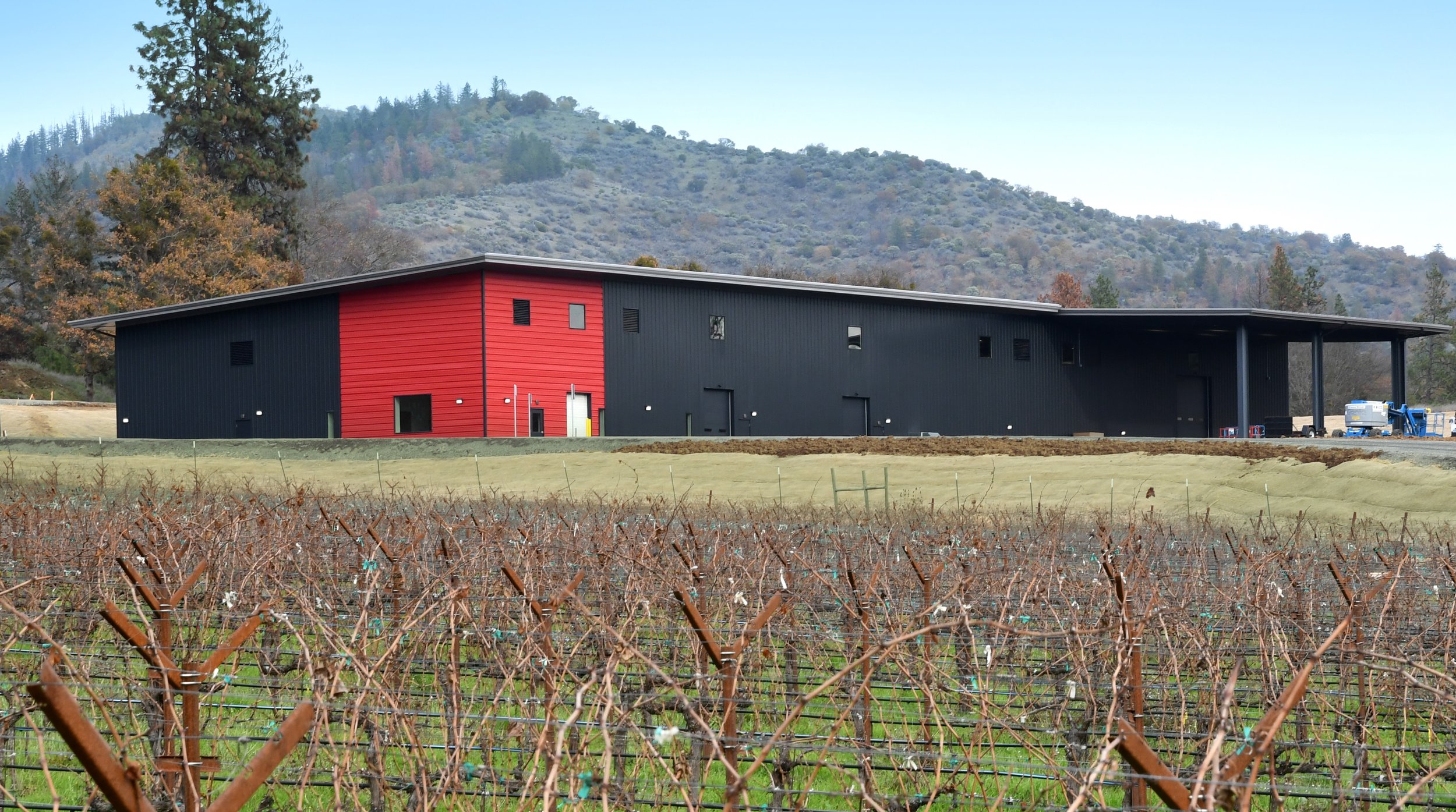 New Winery and vines cropped.jpg