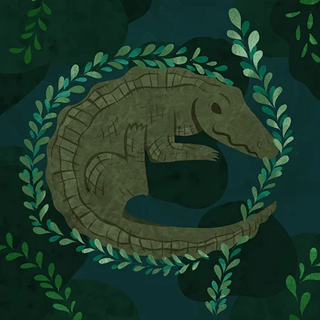 Alligator