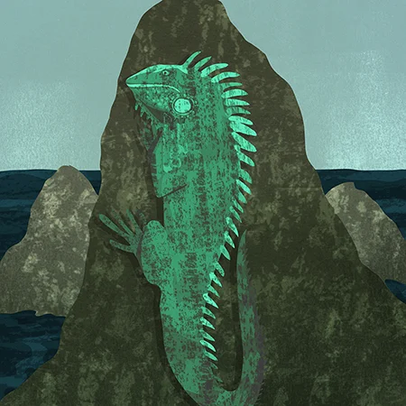 Iguana