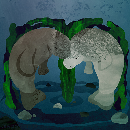 Manatee