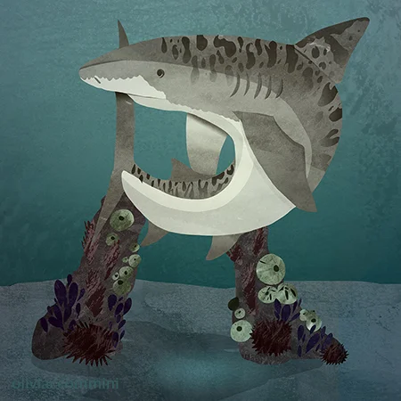 Requiem Shark