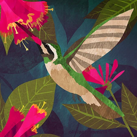 Xantu's Hummingbird