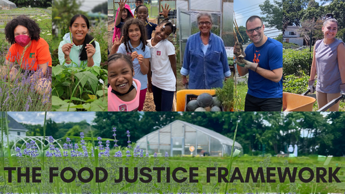 The Food Justice Framework — Green Village Initiative