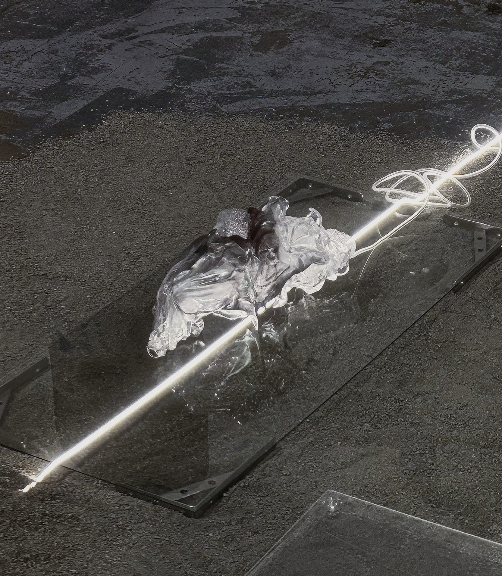 molting01.png