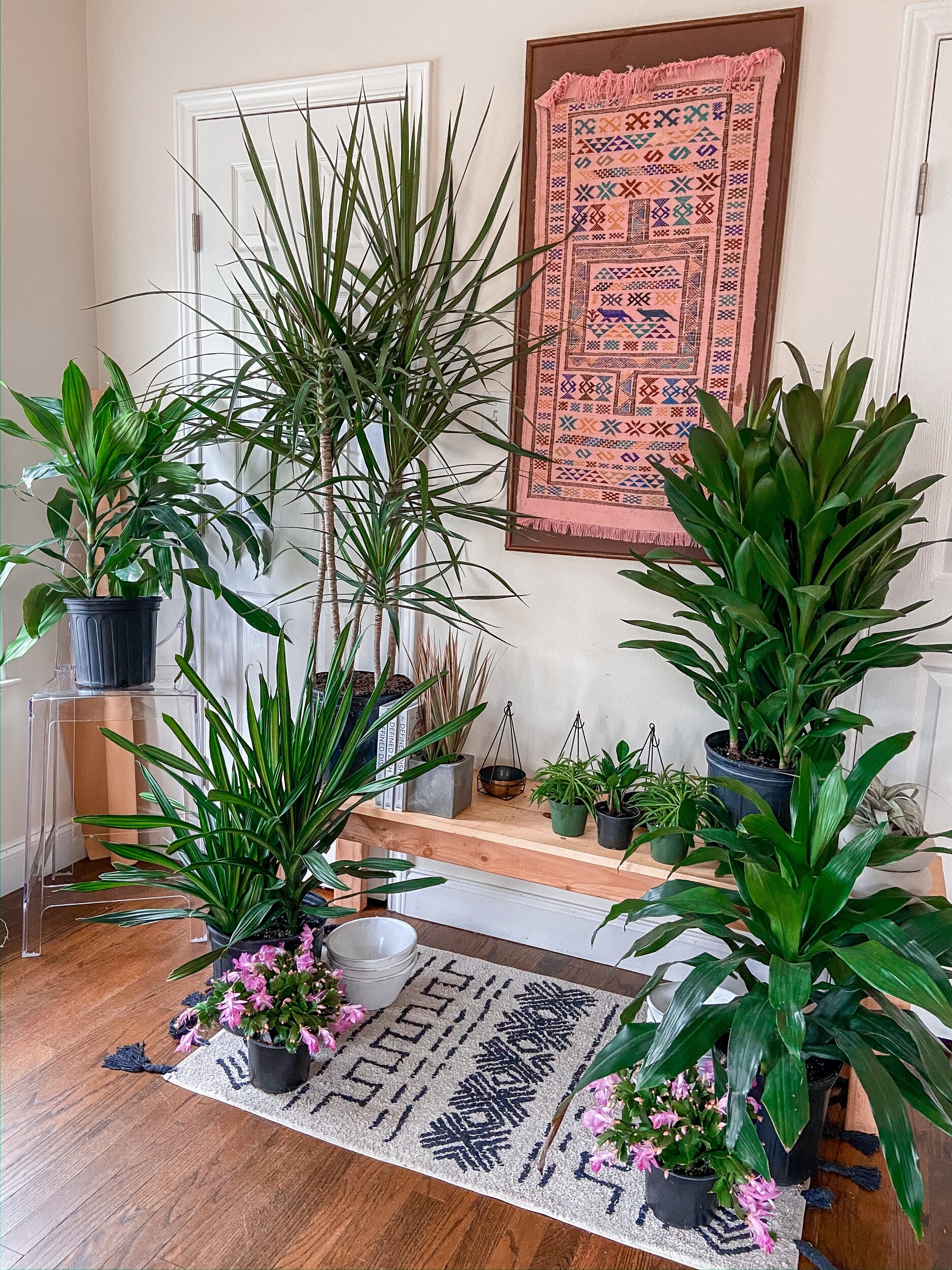 D222F4E7-059F-4105-A9F1-8DFEB908056F