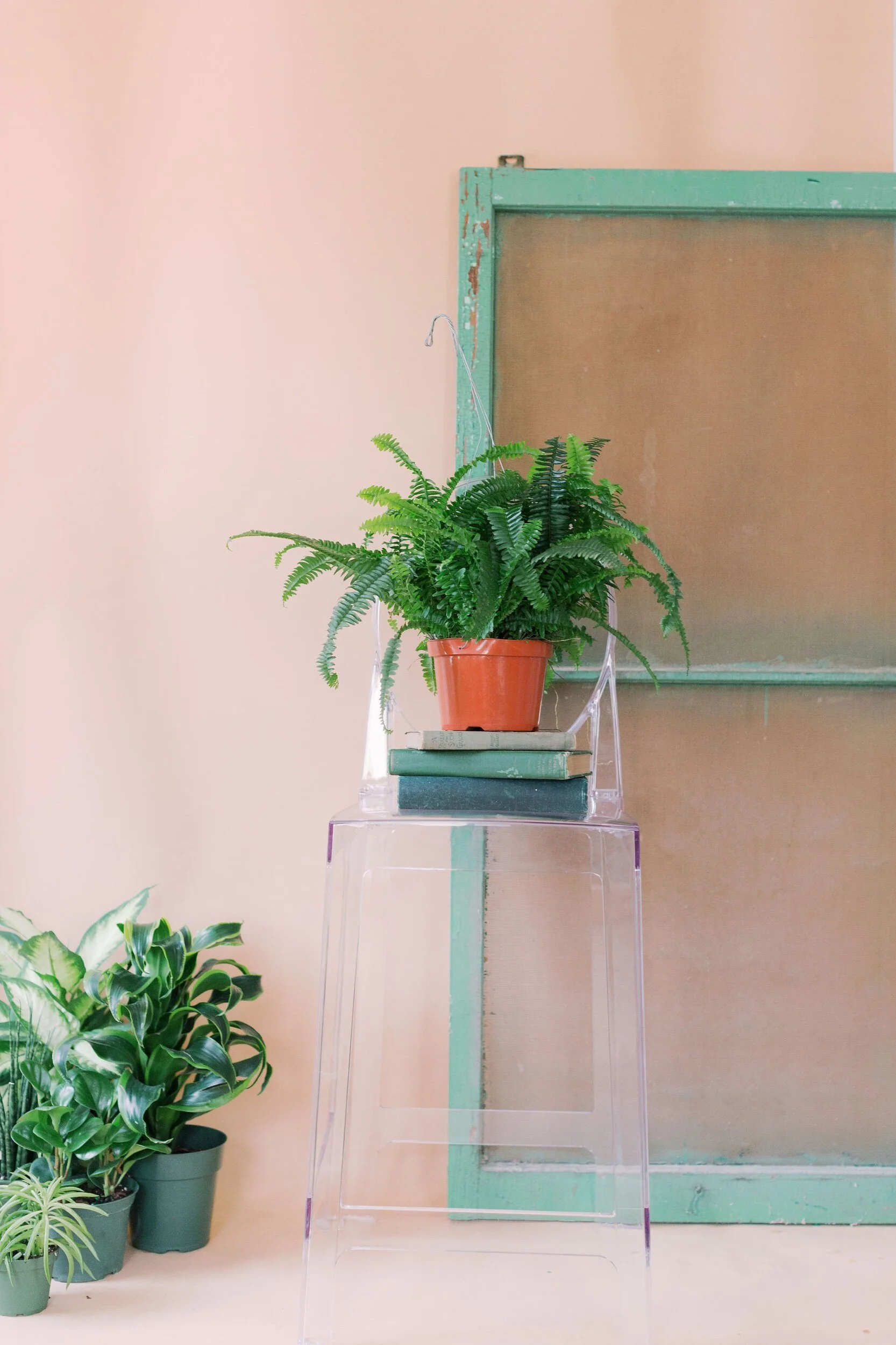 4E4431D9-4231-407C-991A-26B876C93311