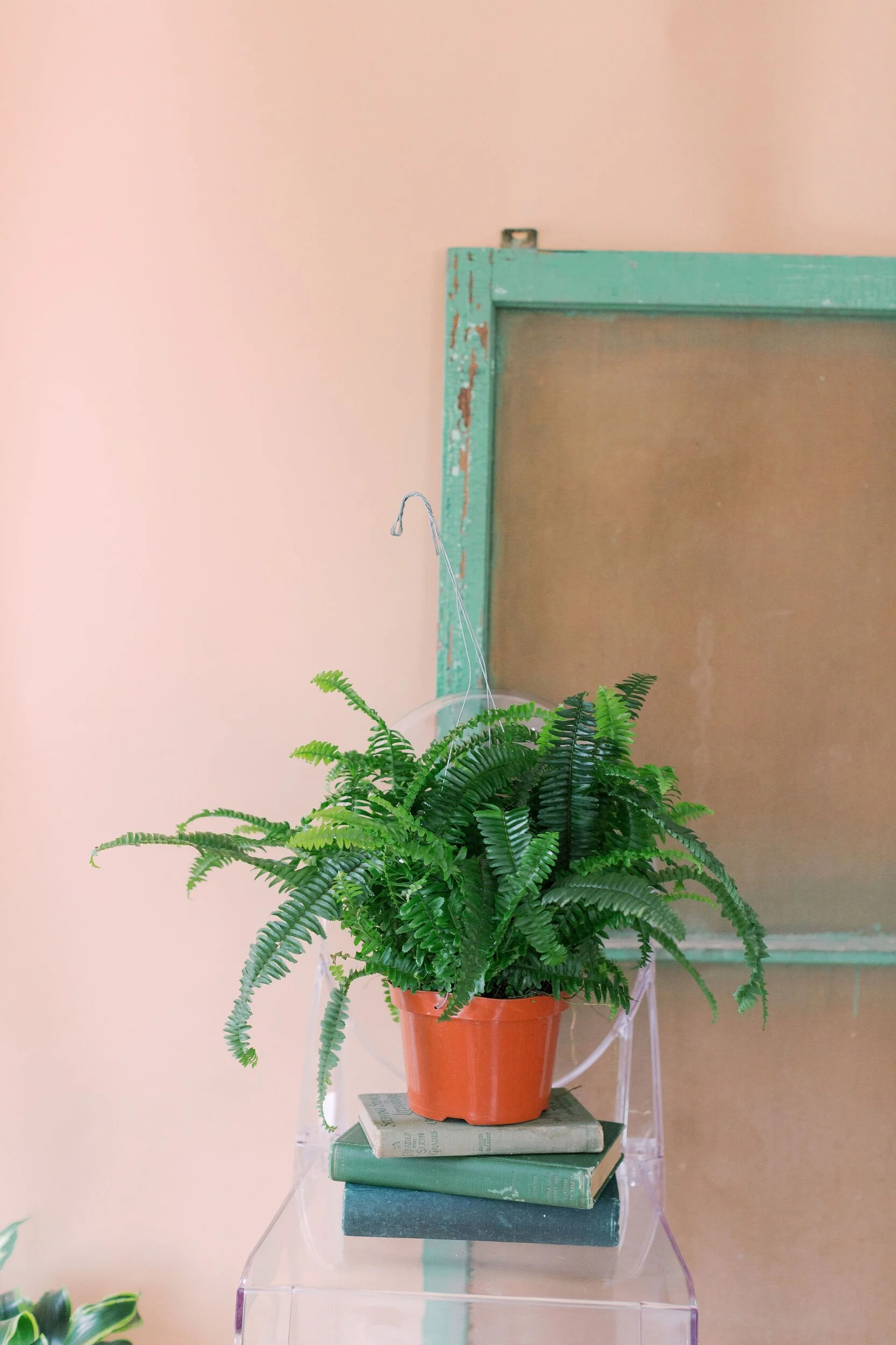 9F2B2962-6774-4F39-AED4-7802DEC99337