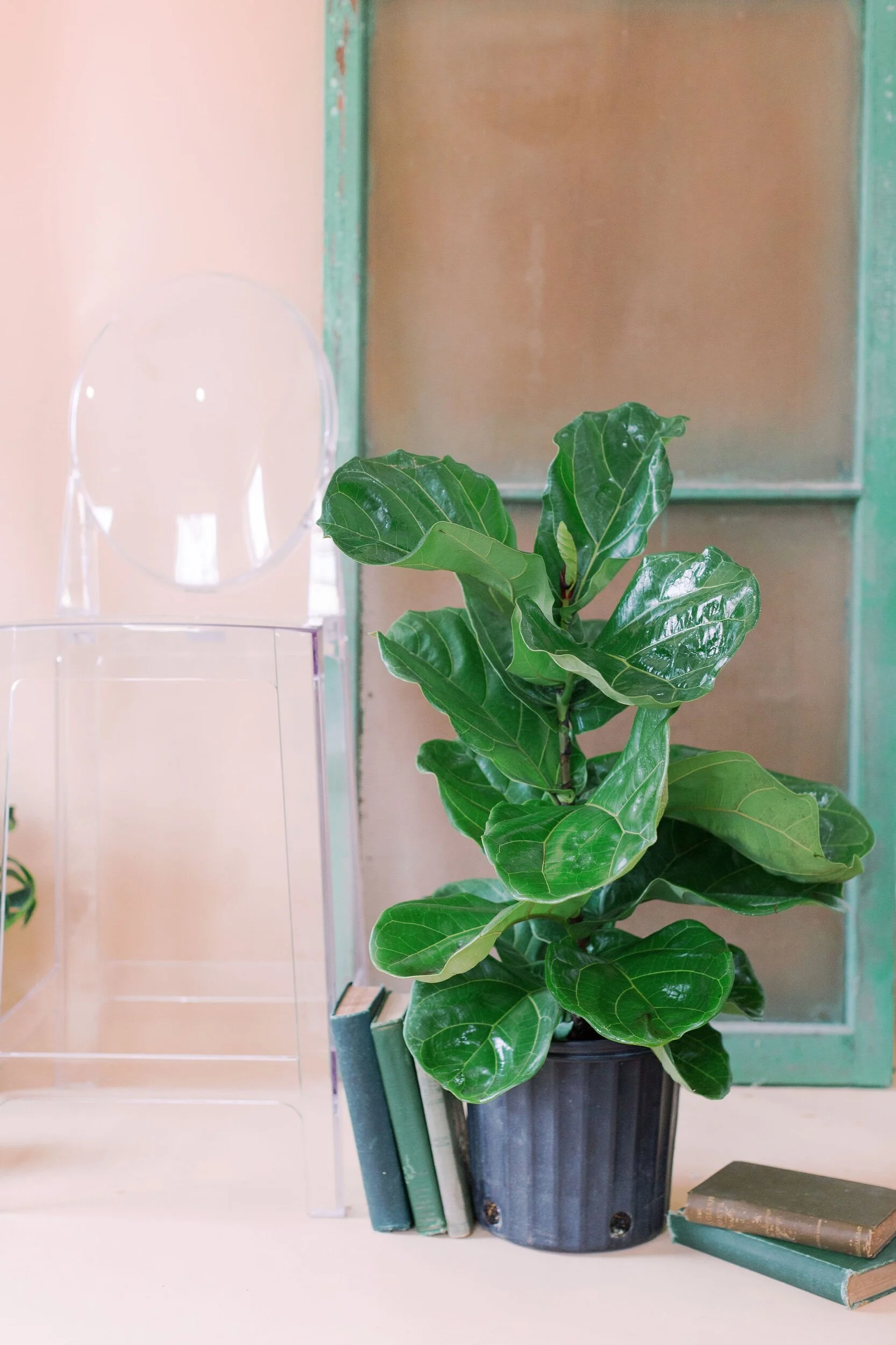 16007EBF-4F64-40AF-A022-1F7090A94A6C