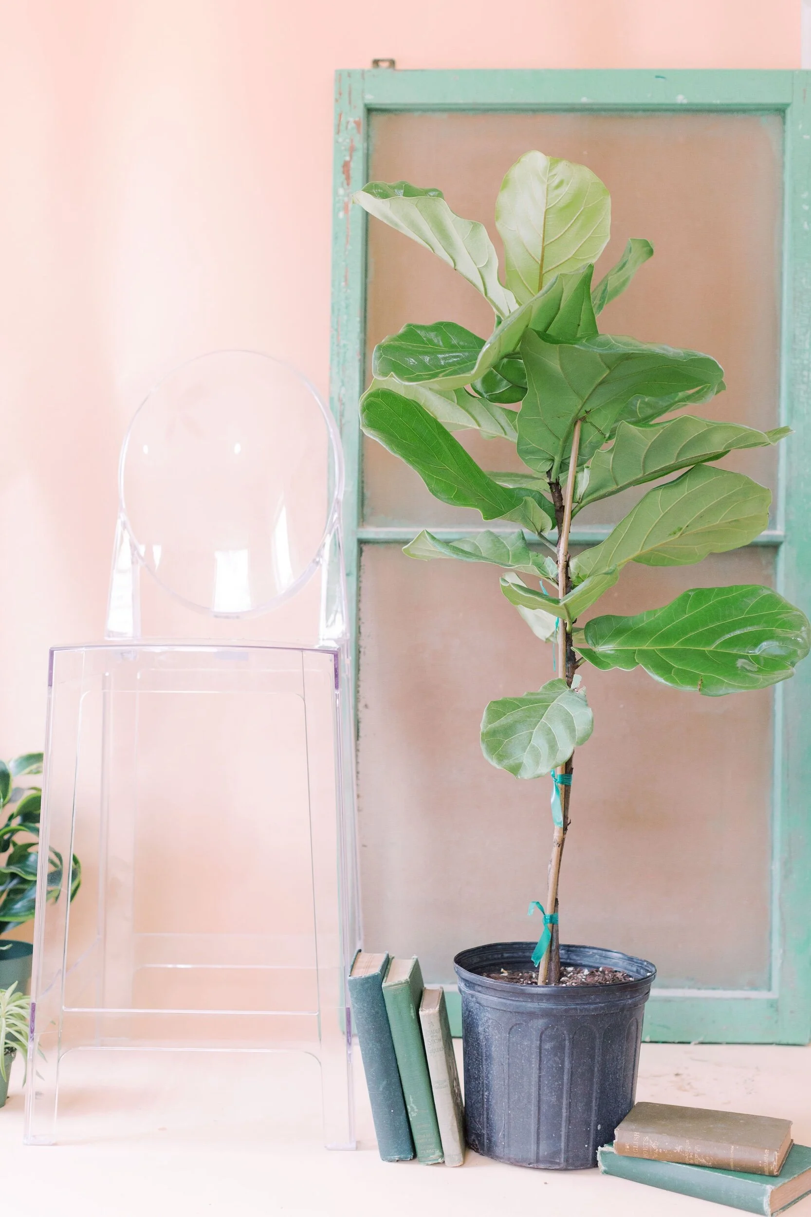 2FA5A039-3CD7-45A5-AA2B-406016134C13