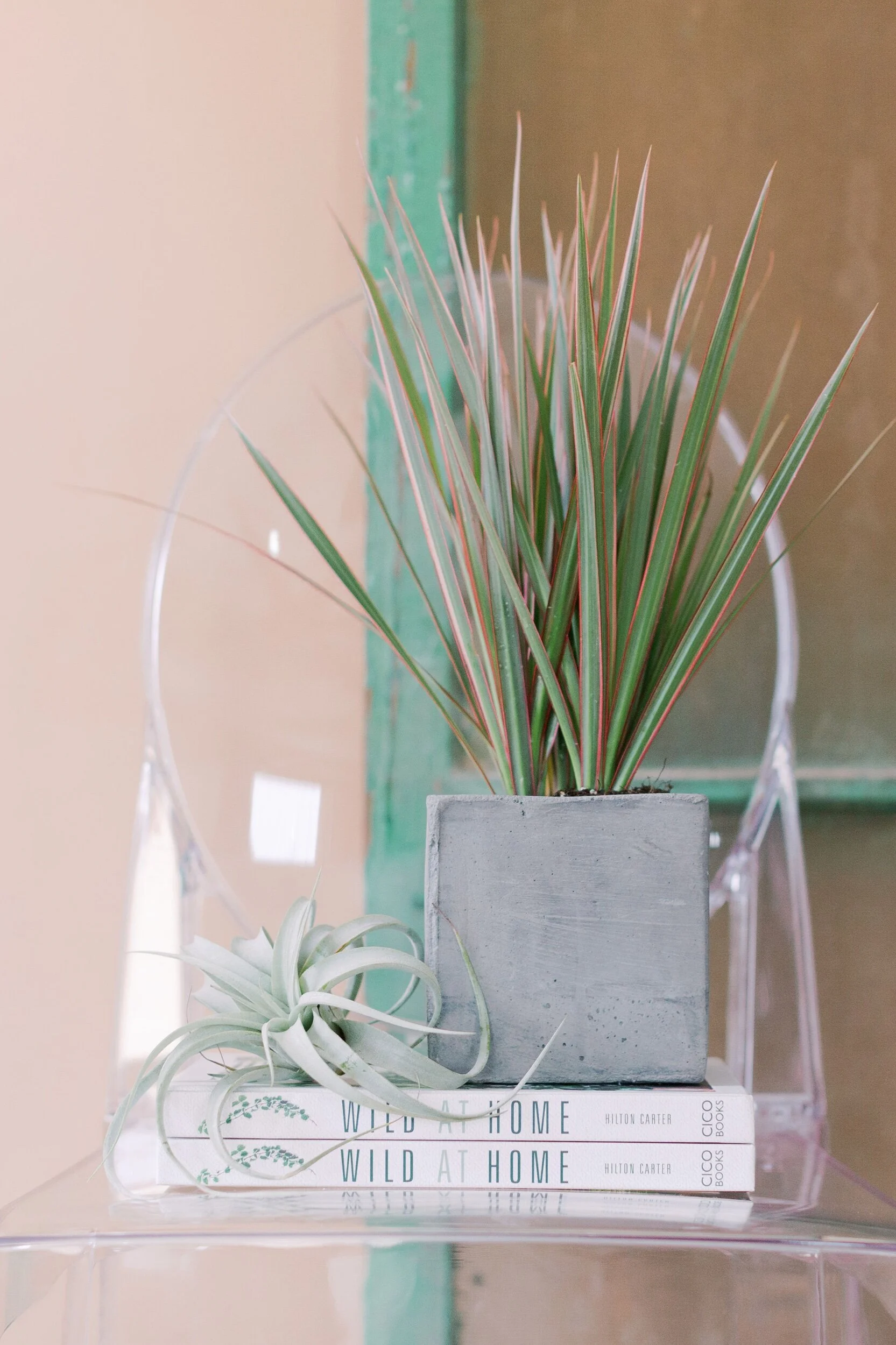 12AFAAFB-C524-4916-8948-FC0261DAE24D