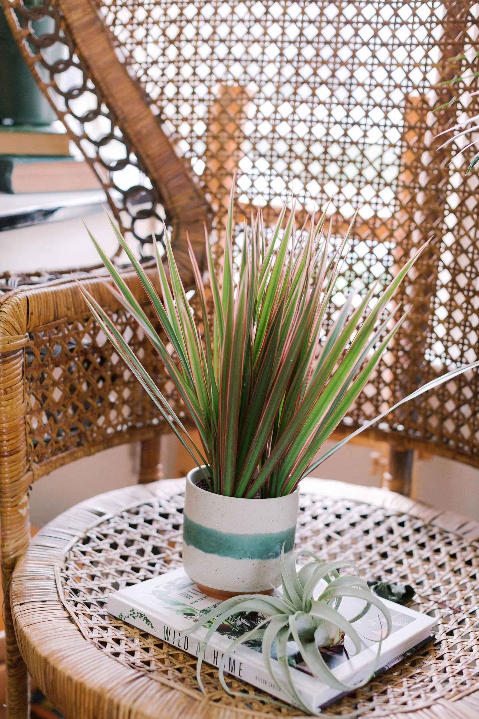 6D61F58F-8474-40BB-B43C-37FCAF25DAC6