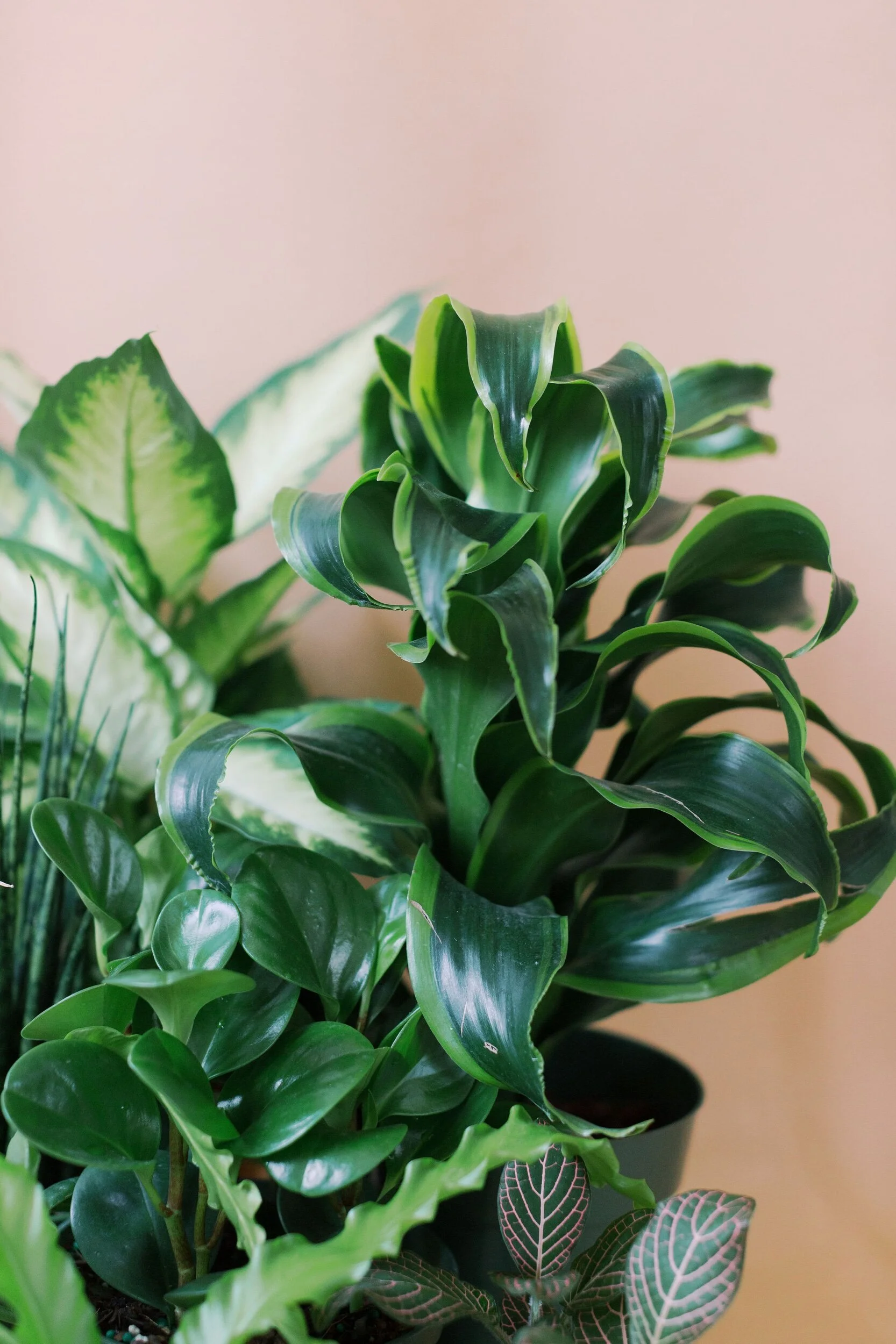 05728B4D-2D33-4BDA-B082-F19C00AC411D