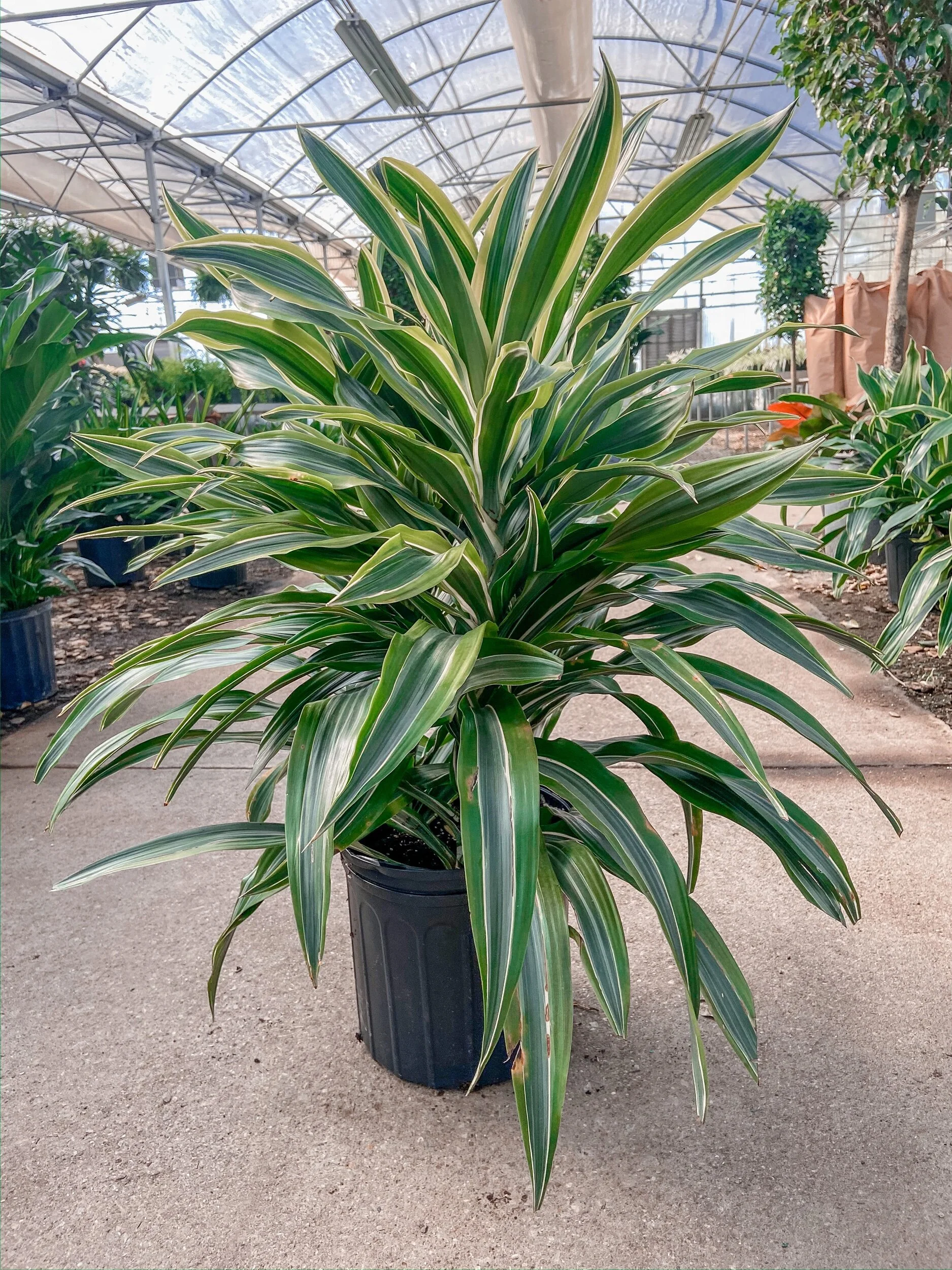 158D35D0-FD91-4790-80D0-FBE5255F93B6