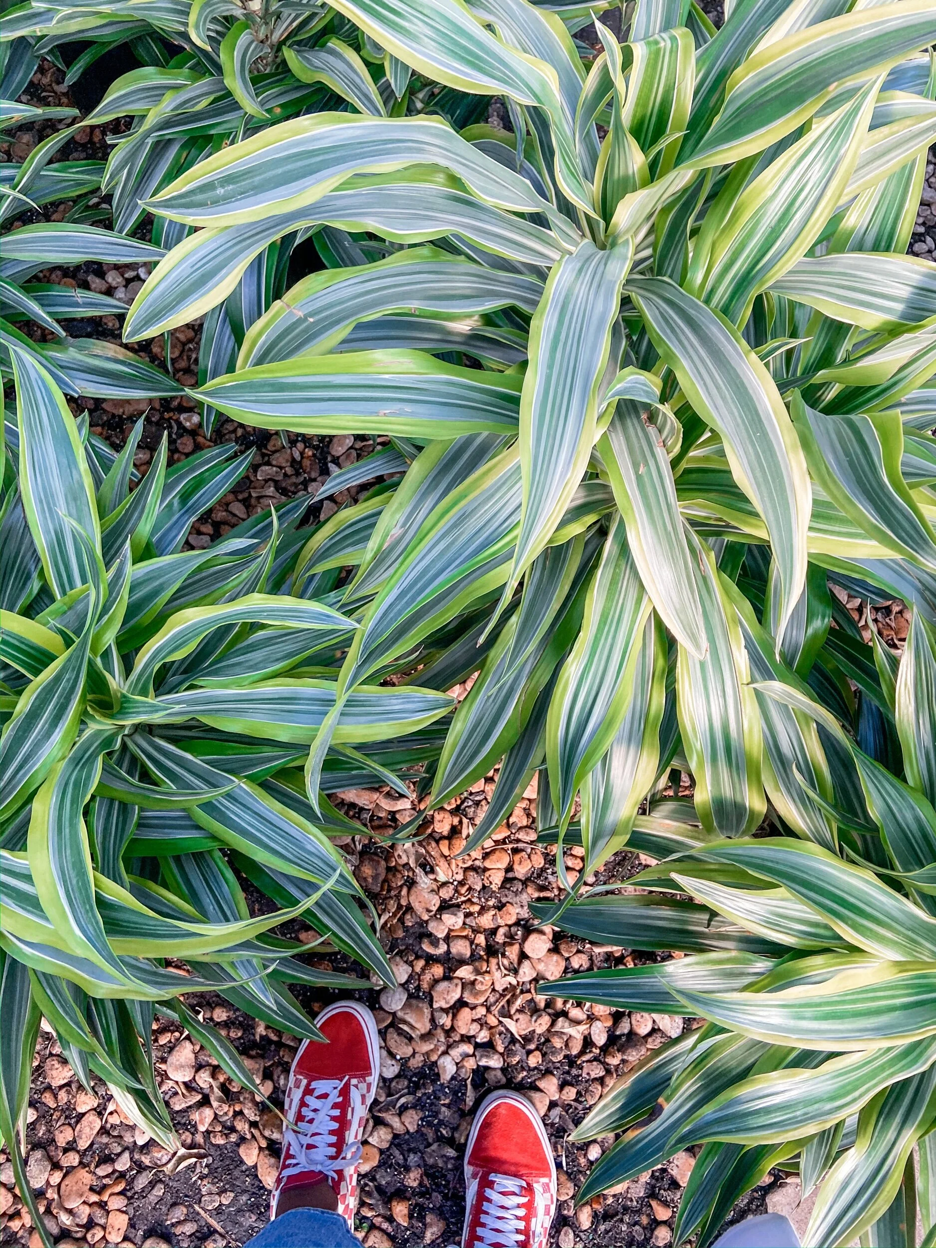 DF2F3883-FDC1-4F9B-95C6-7A6A8A327DDC