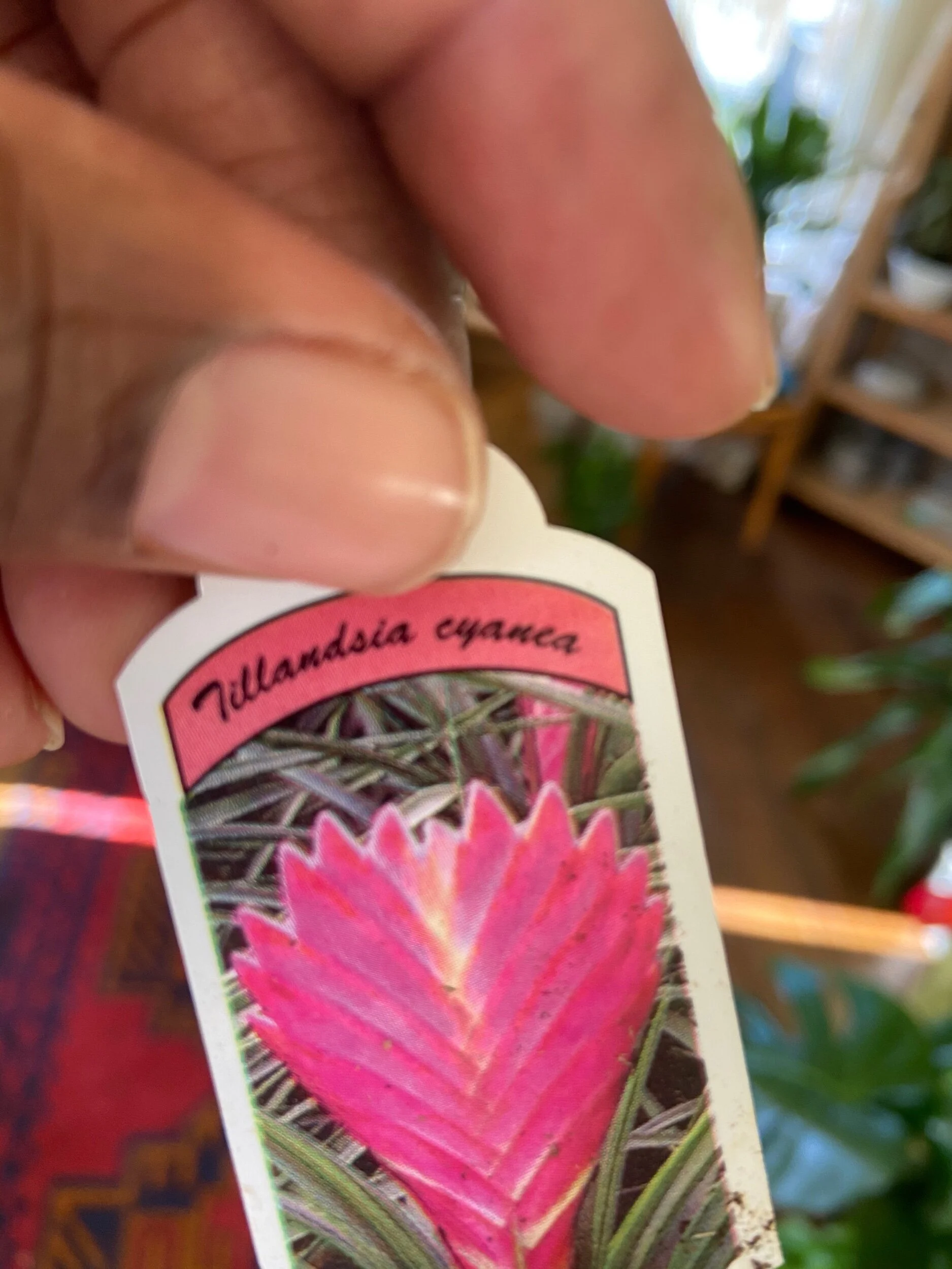 1D58E931-16F0-4857-B33B-B342D185523C