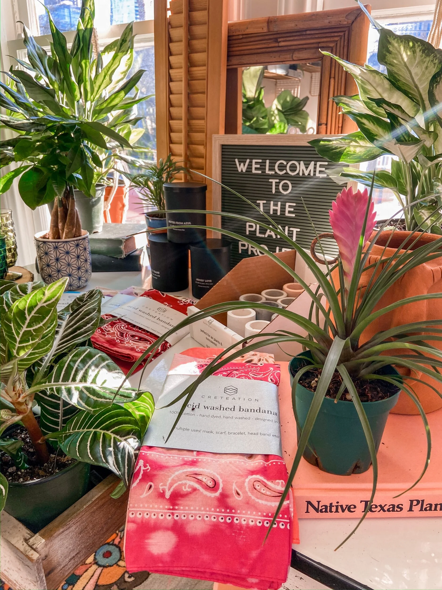 A39E8763-9581-42BA-B6BC-96736B0D6FA2