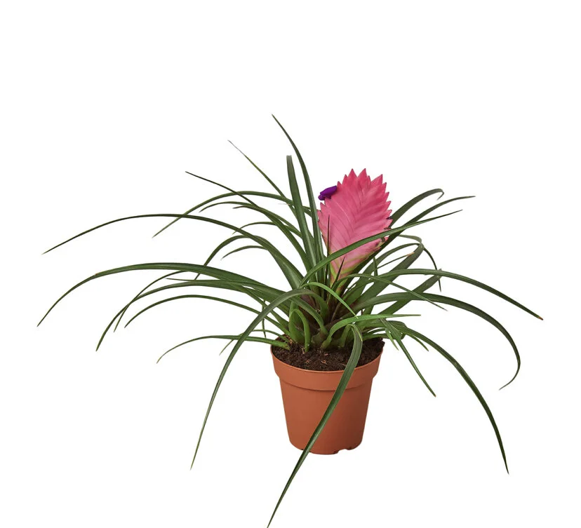 12B8D384-965B-41BB-B45E-952B5DAD4EEB