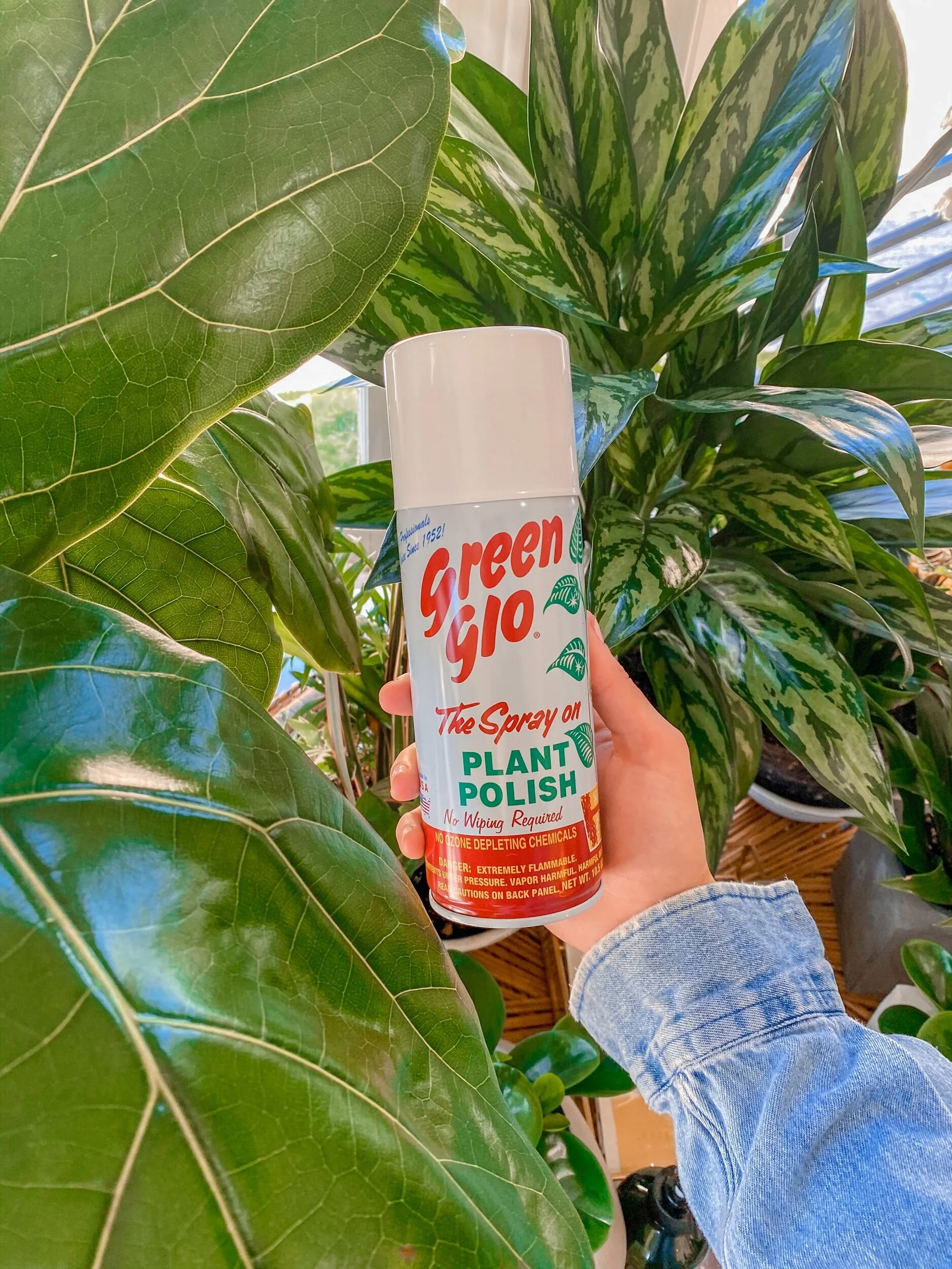 F956E81C-1237-470D-B60B-633255456861