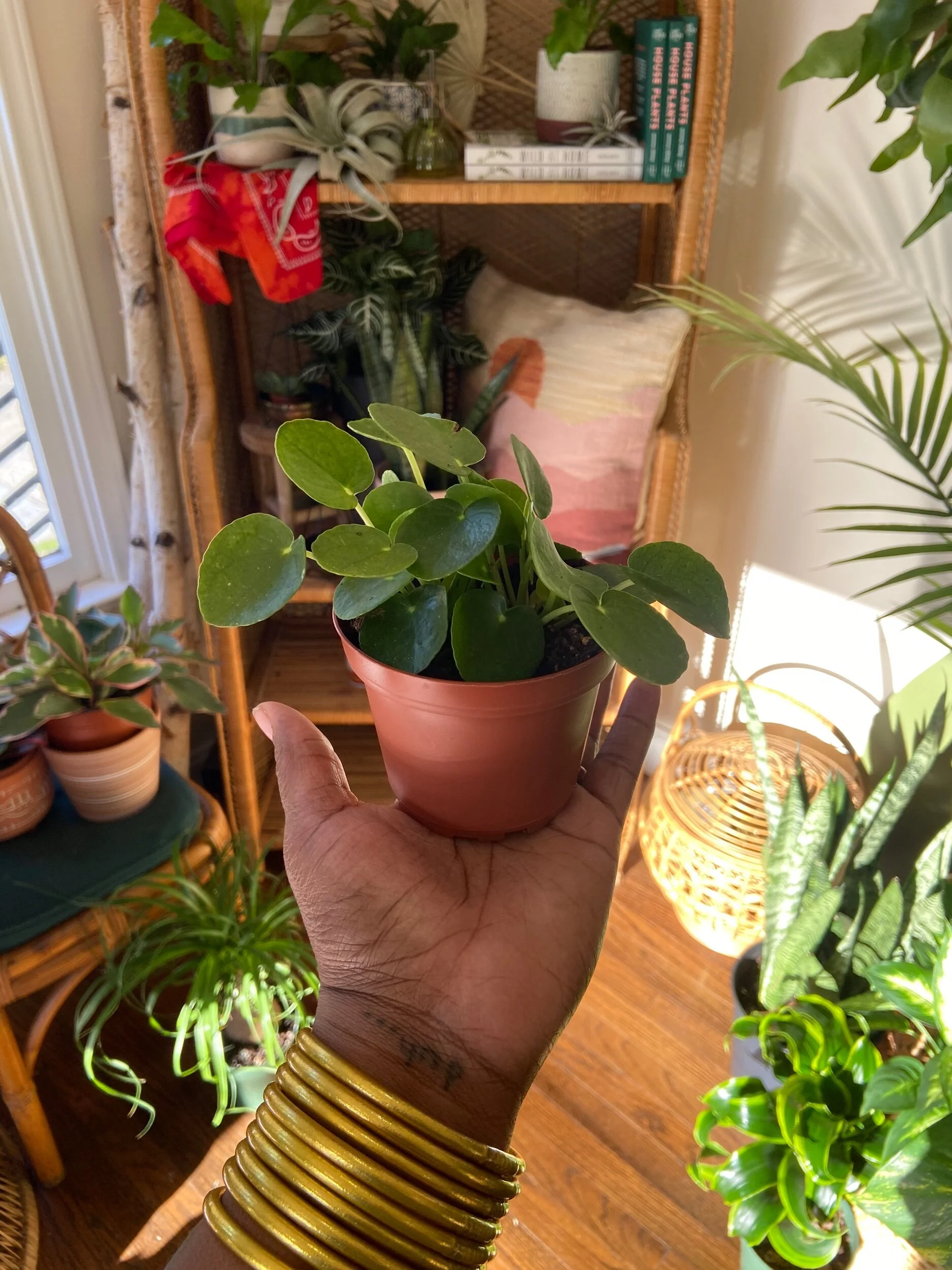 37554858-8280-49E8-8C0B-3696476A9198