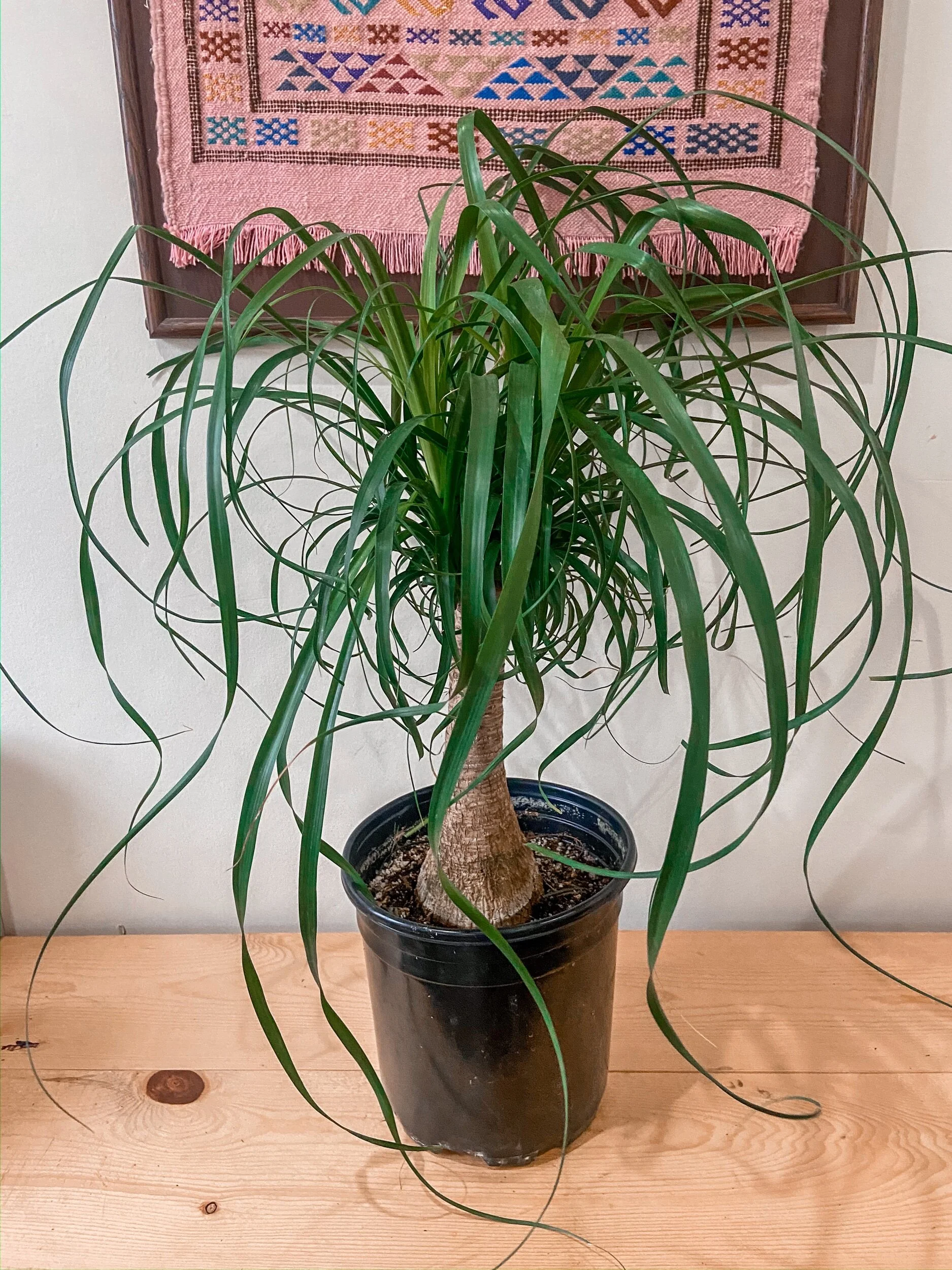 A7484EBE-0C0B-4FB4-A552-2077414A88E3