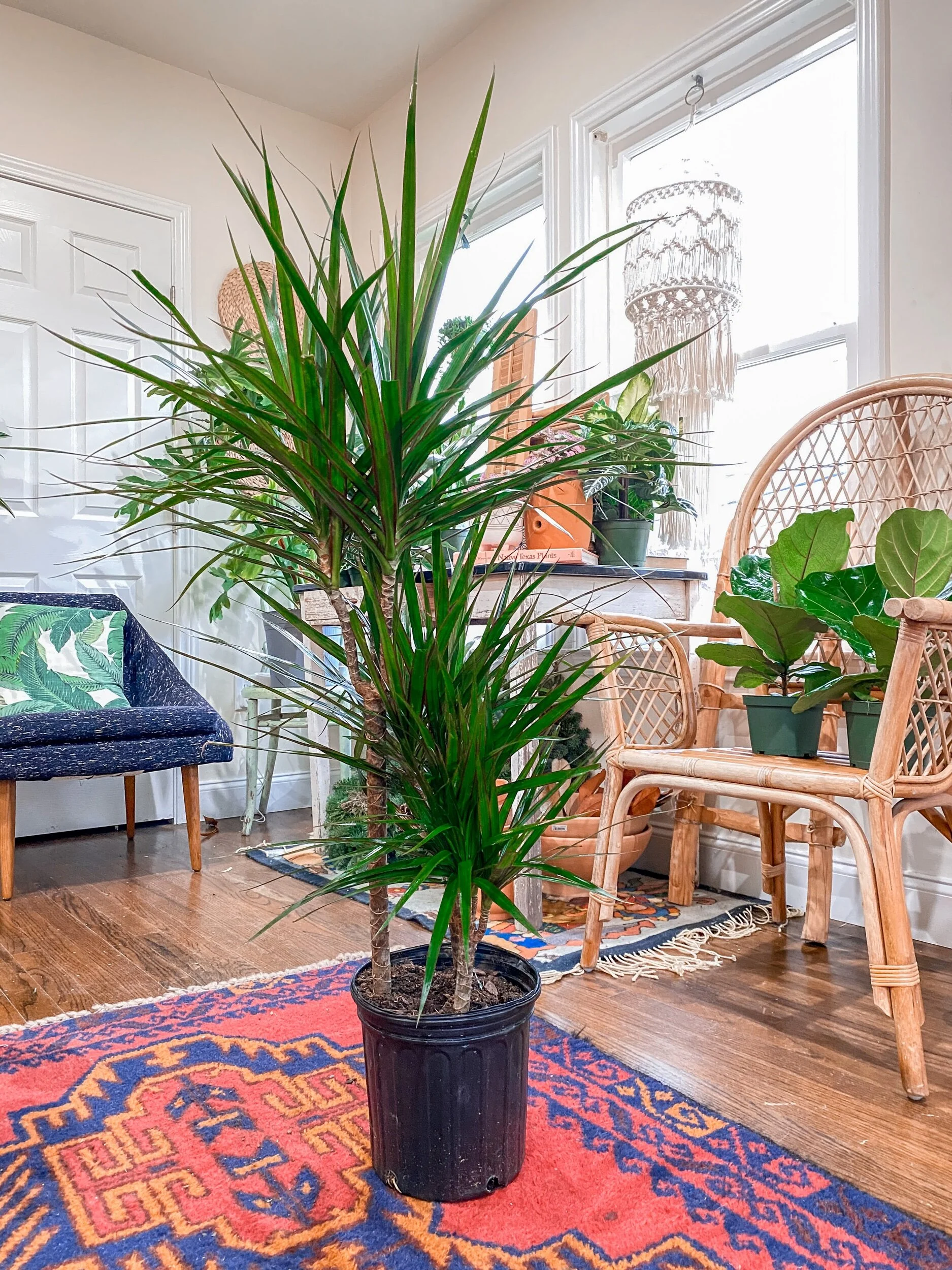 9904B35B-2043-4A4D-92A9-E13964DF6A8F