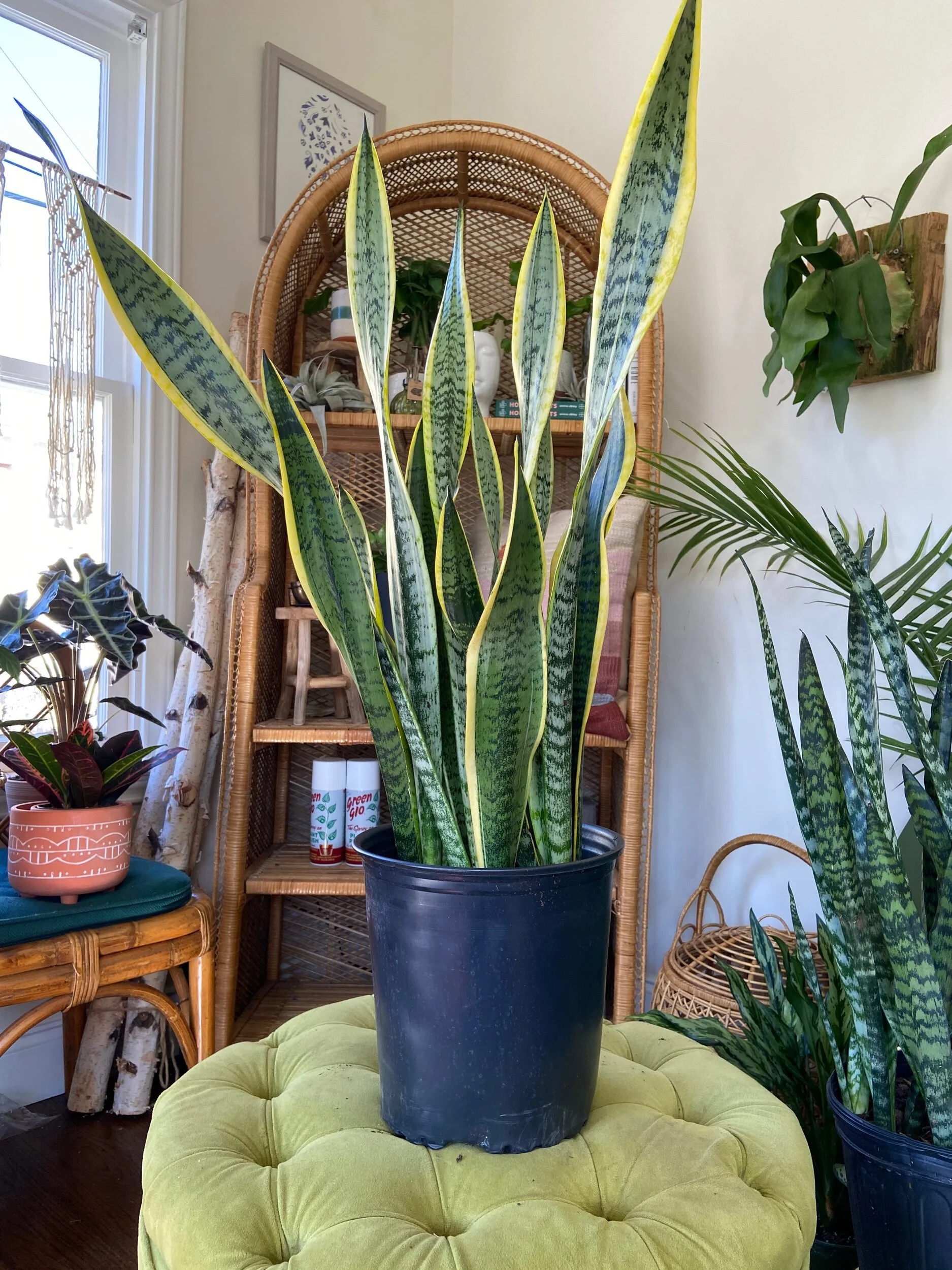 6408ECE5-67D2-42E3-8D70-BC1C870B32AF