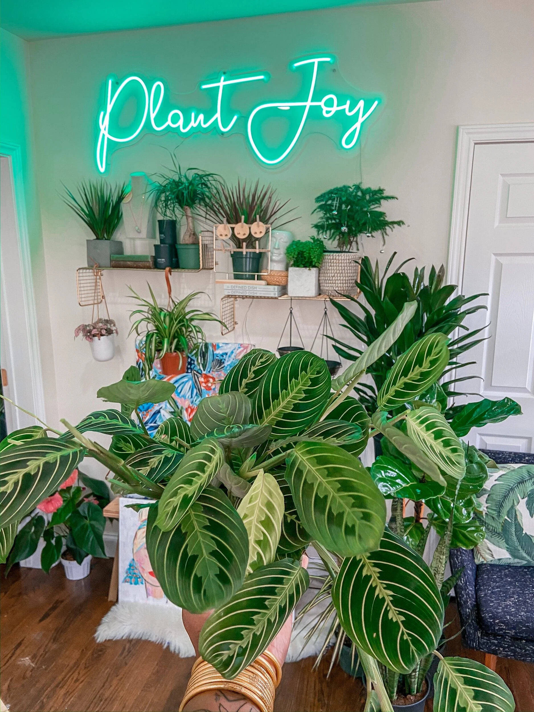 A9EE70BE-EDEE-492C-B567-FDF035F4129E