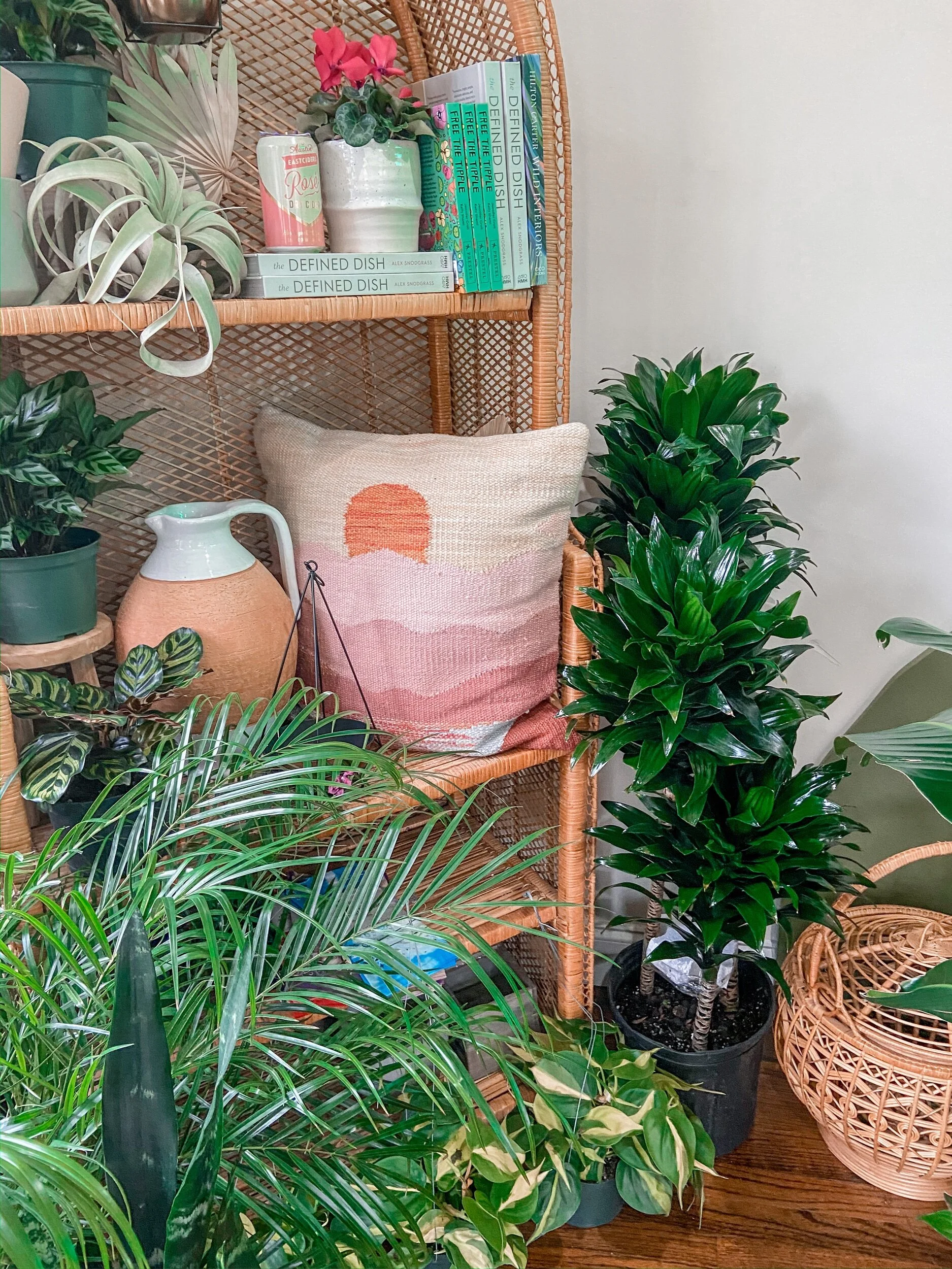 7987BE5F-D3AC-4FFB-9B39-70E22FF5AEAC